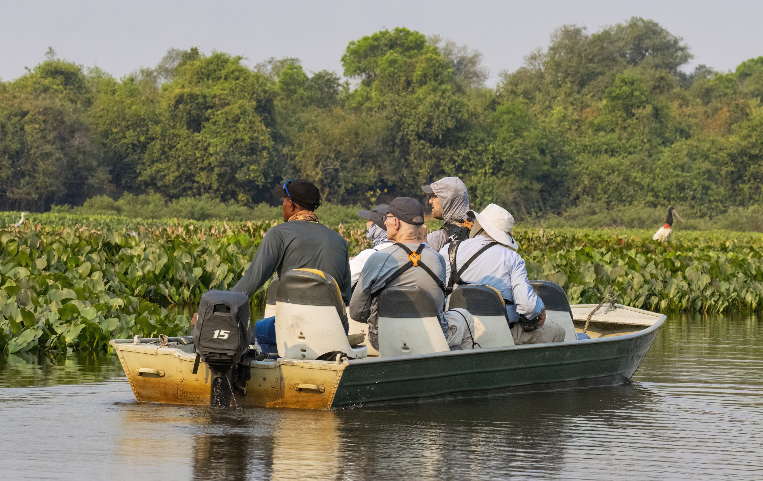 Birding the Pantanal