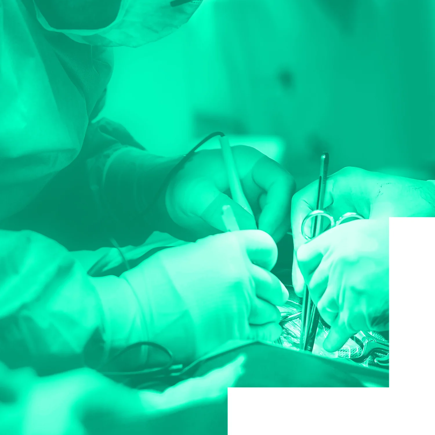 DYSPHAGIA IN CRITICALLY ILL POPULATIONS — Acute SLP