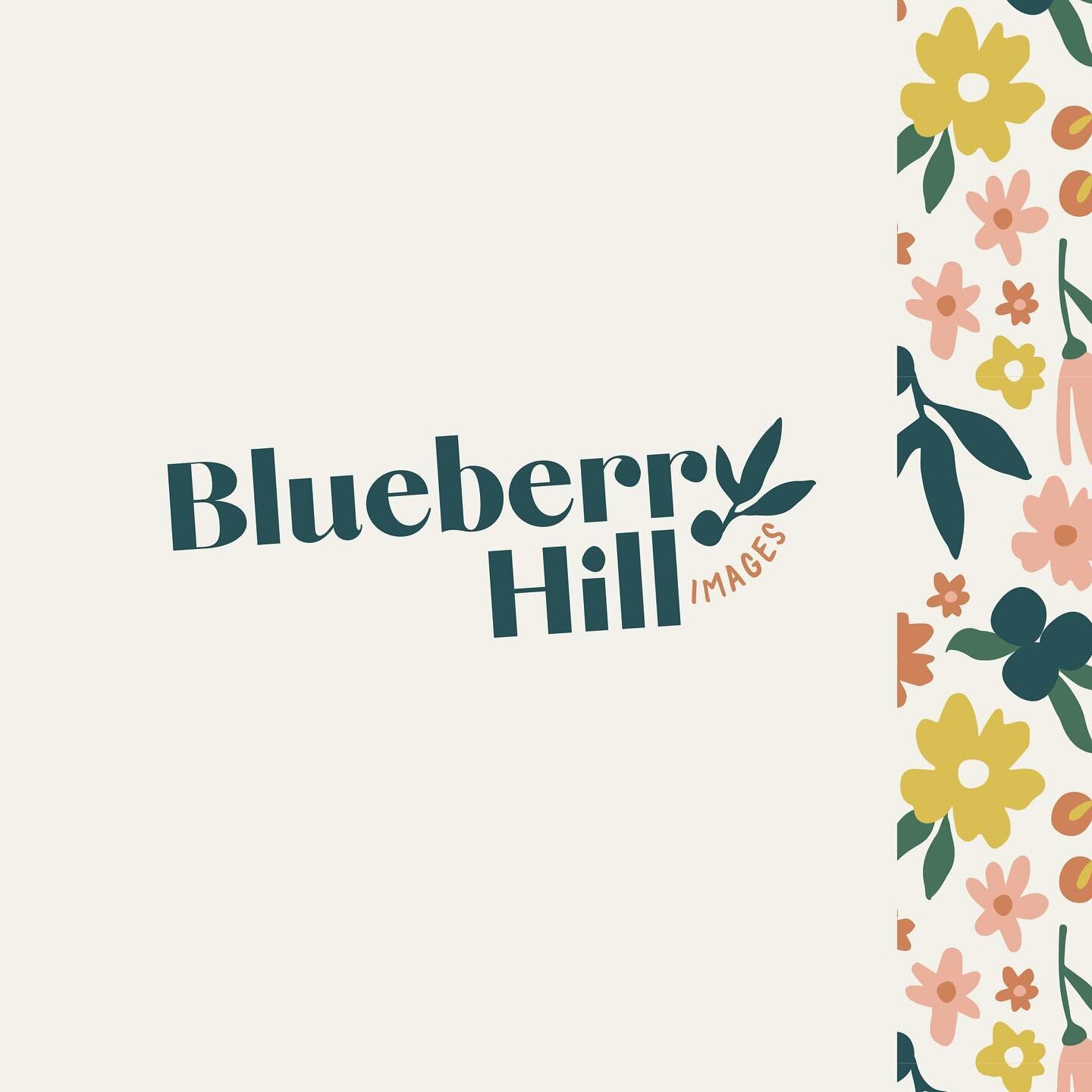 We love how this rebrand for @blueberryhilljenn turned out, with a mix of bright colors and fun shapes, we couldn&rsquo;t wait to share! 🌻

Fun fact, Jenn was so excited with her brand she spend a weekend updating her website so she could start show