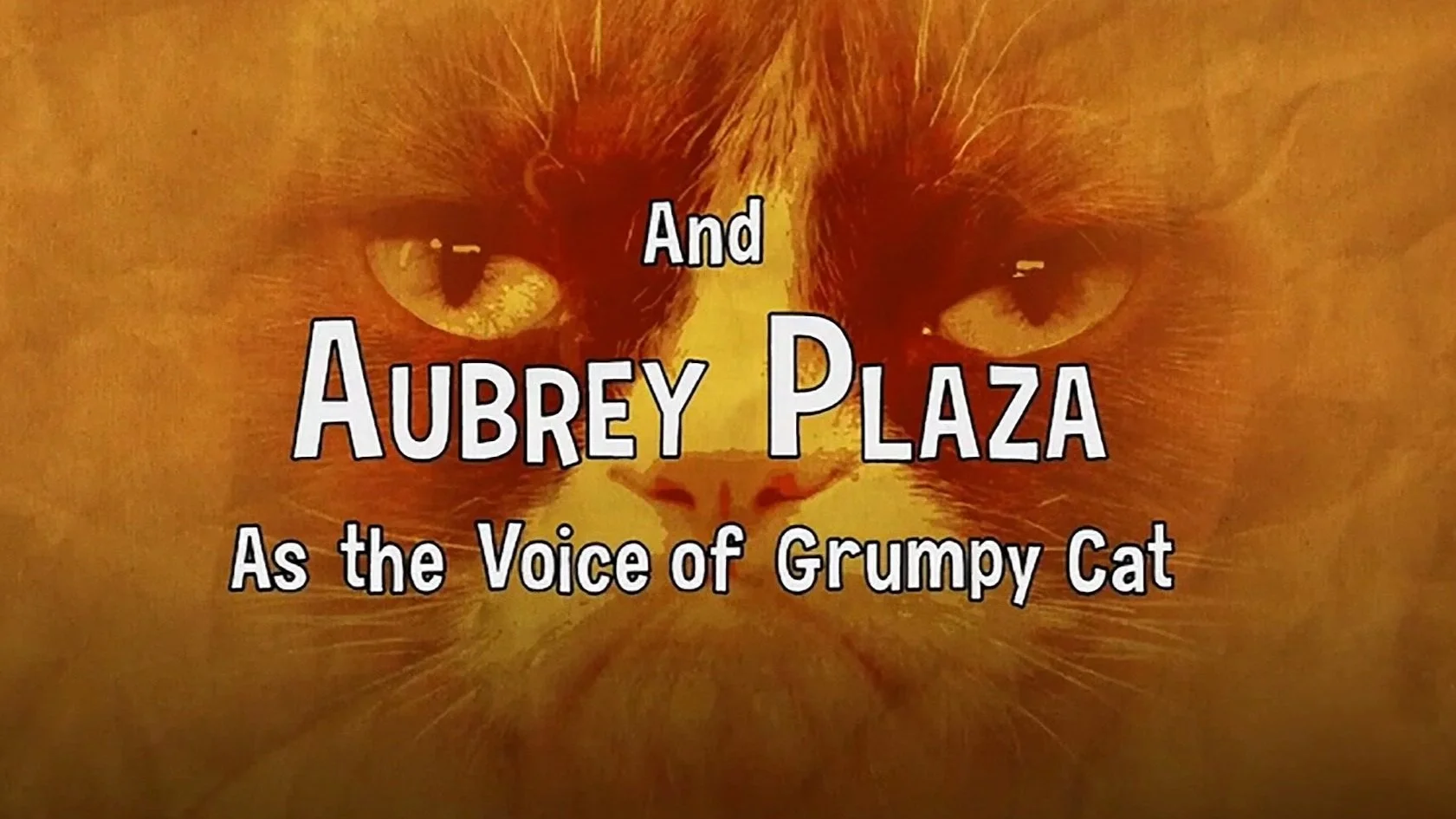 GRUMPY CAT