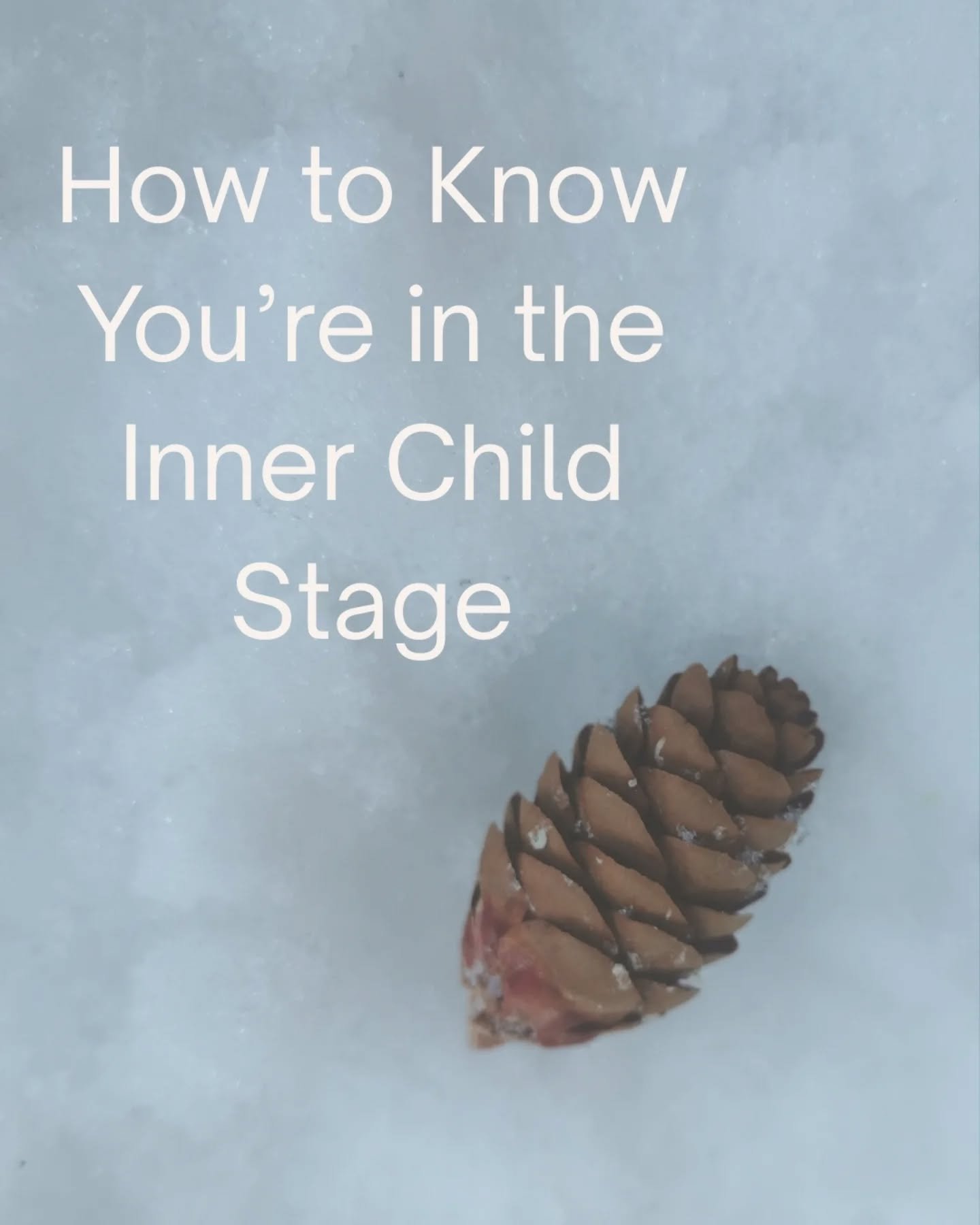 Insight matters.

The nervous system matters.

Development has an order.

Potential requires stability.

Before we map the system,
we strengthen the root.

#InnerChildHealing
#NervousSystemHealing
#AttachmentHealing
#TraumaInformed
#HealingPatterns