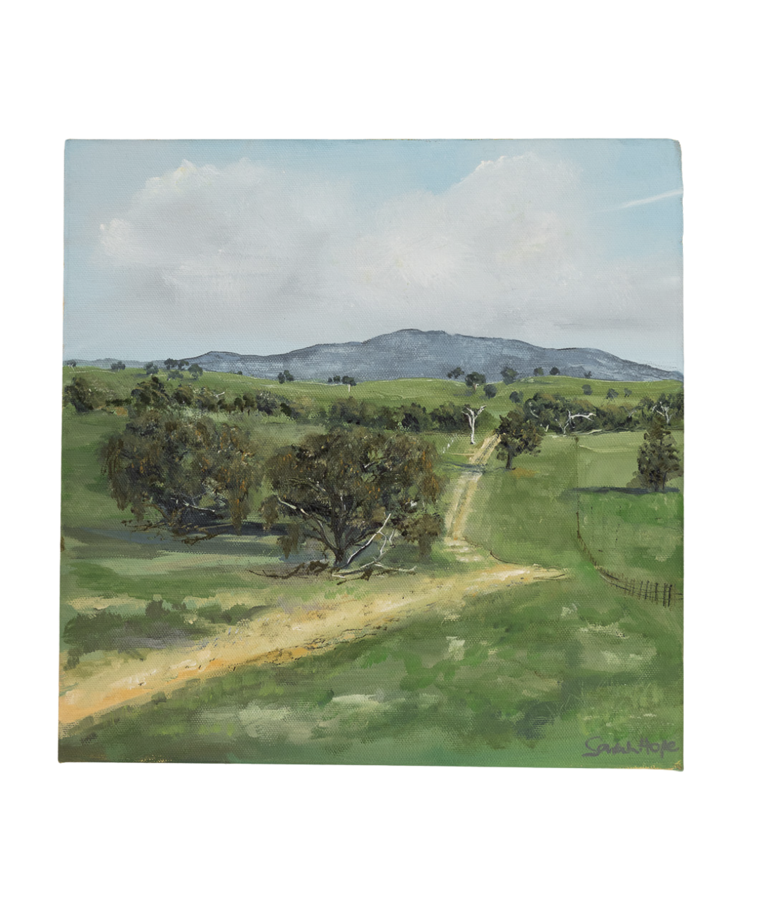 View of Glenaroua II - Sarah Hope.png