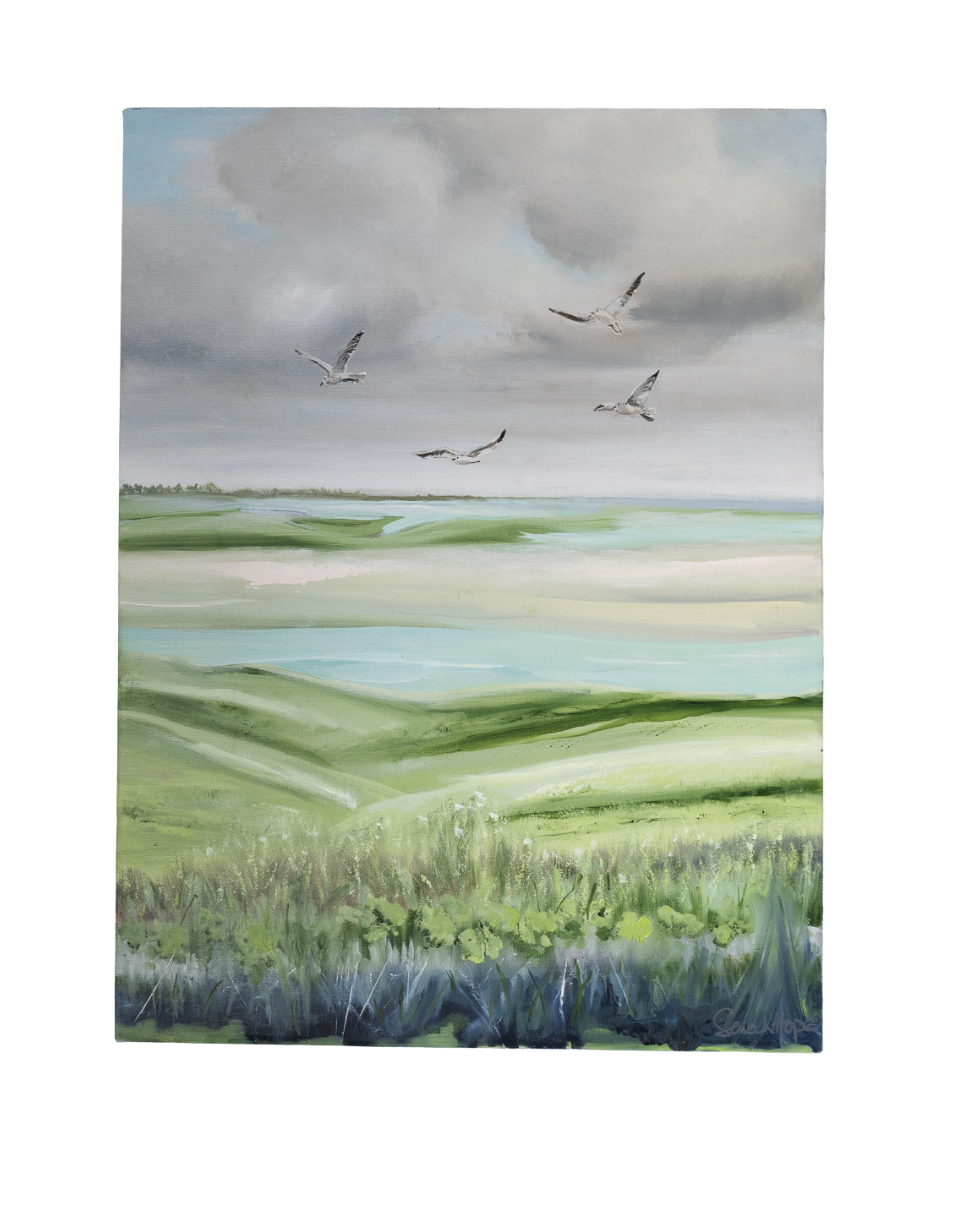 Flight Over Marshland - Sarah Hope.png