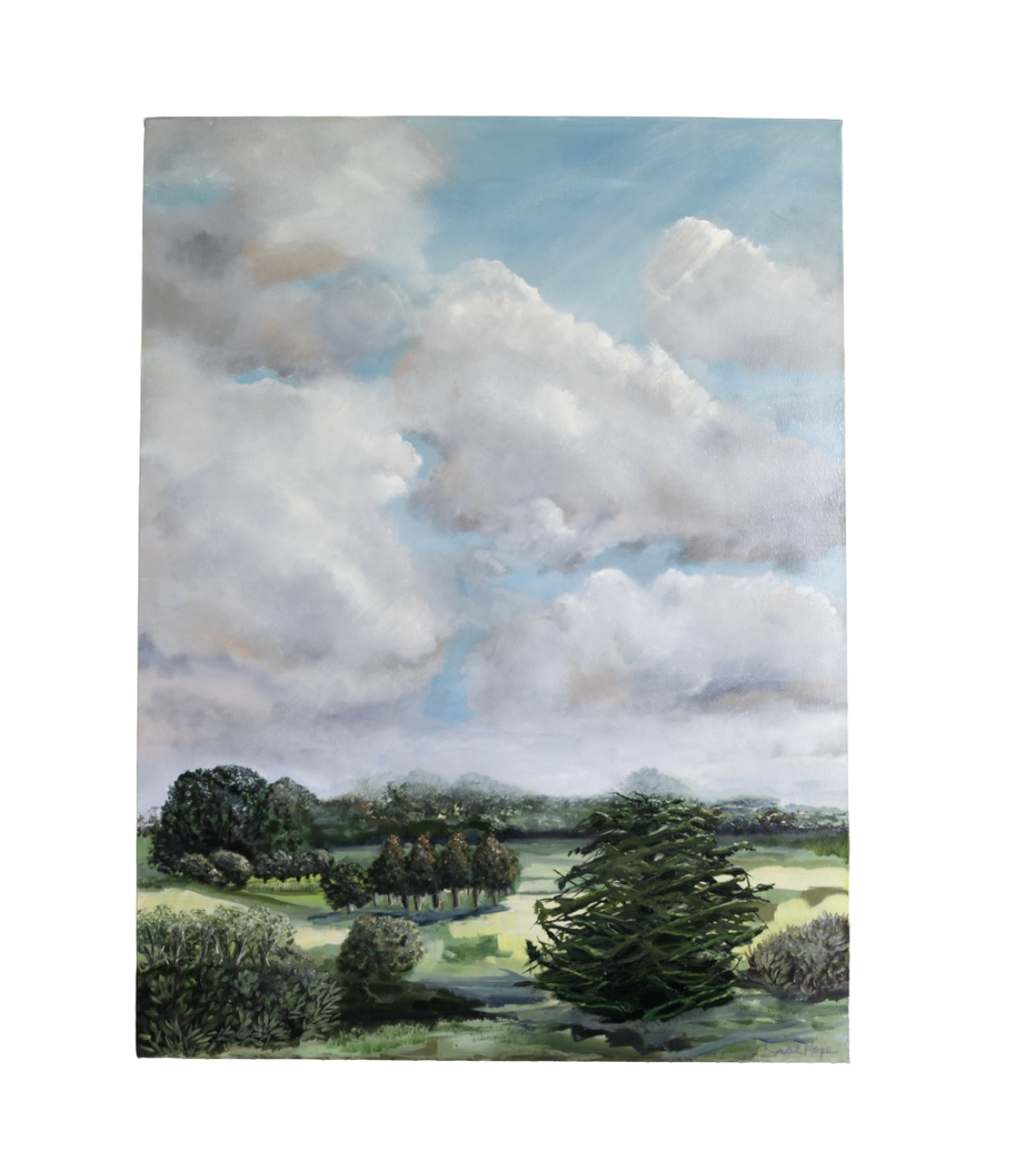 After the Storm - Sarah Hope.png