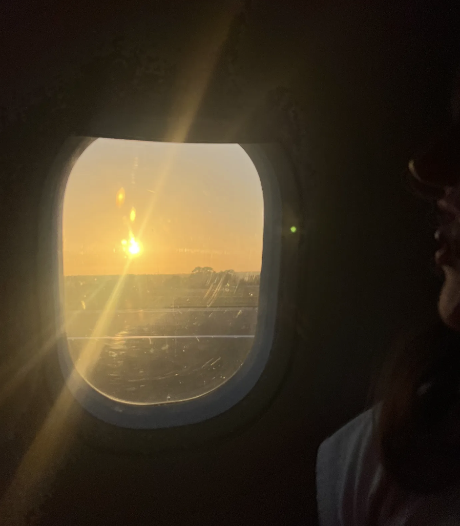 Coming home 