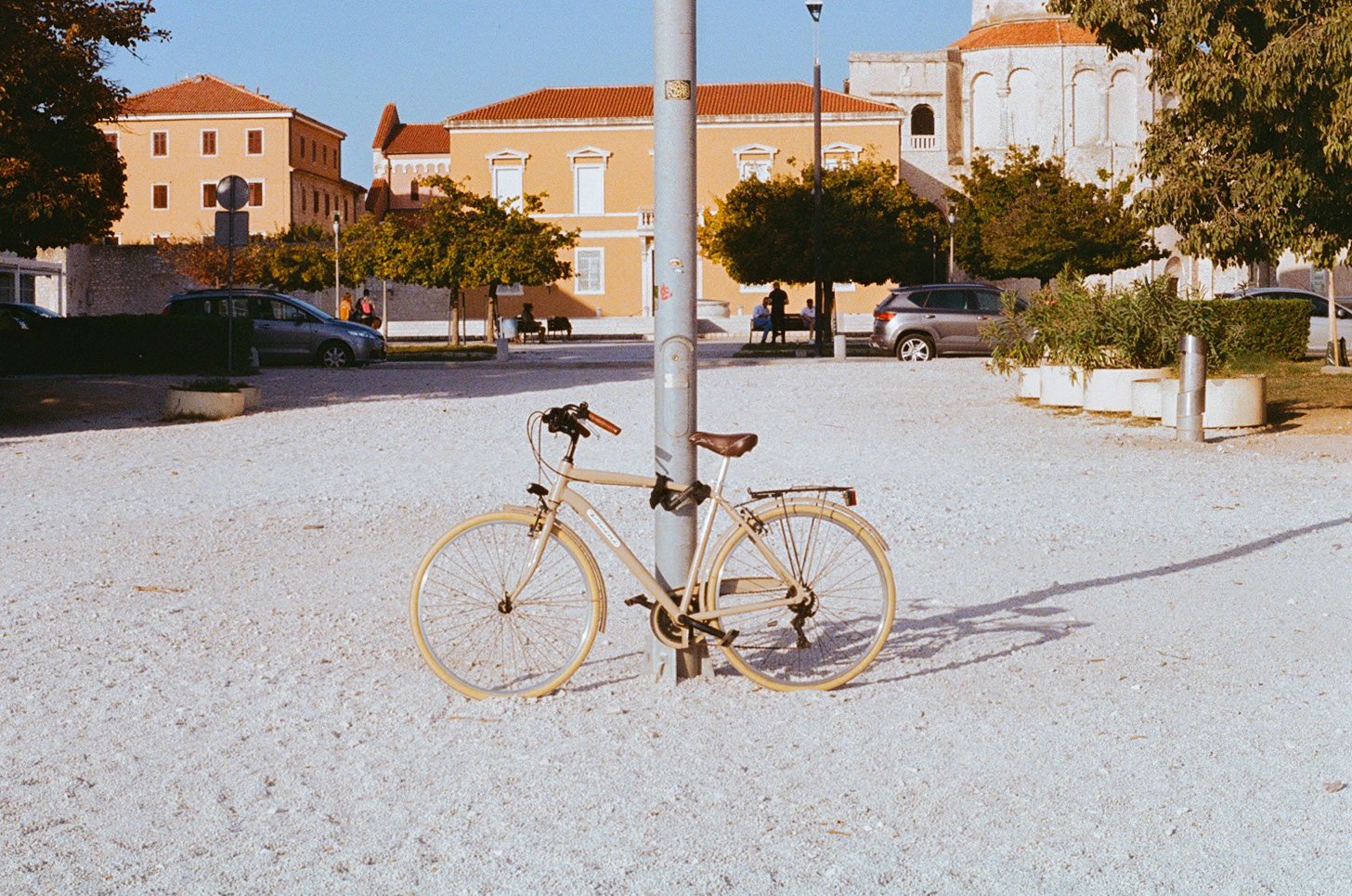 IMG_6581.jpeg