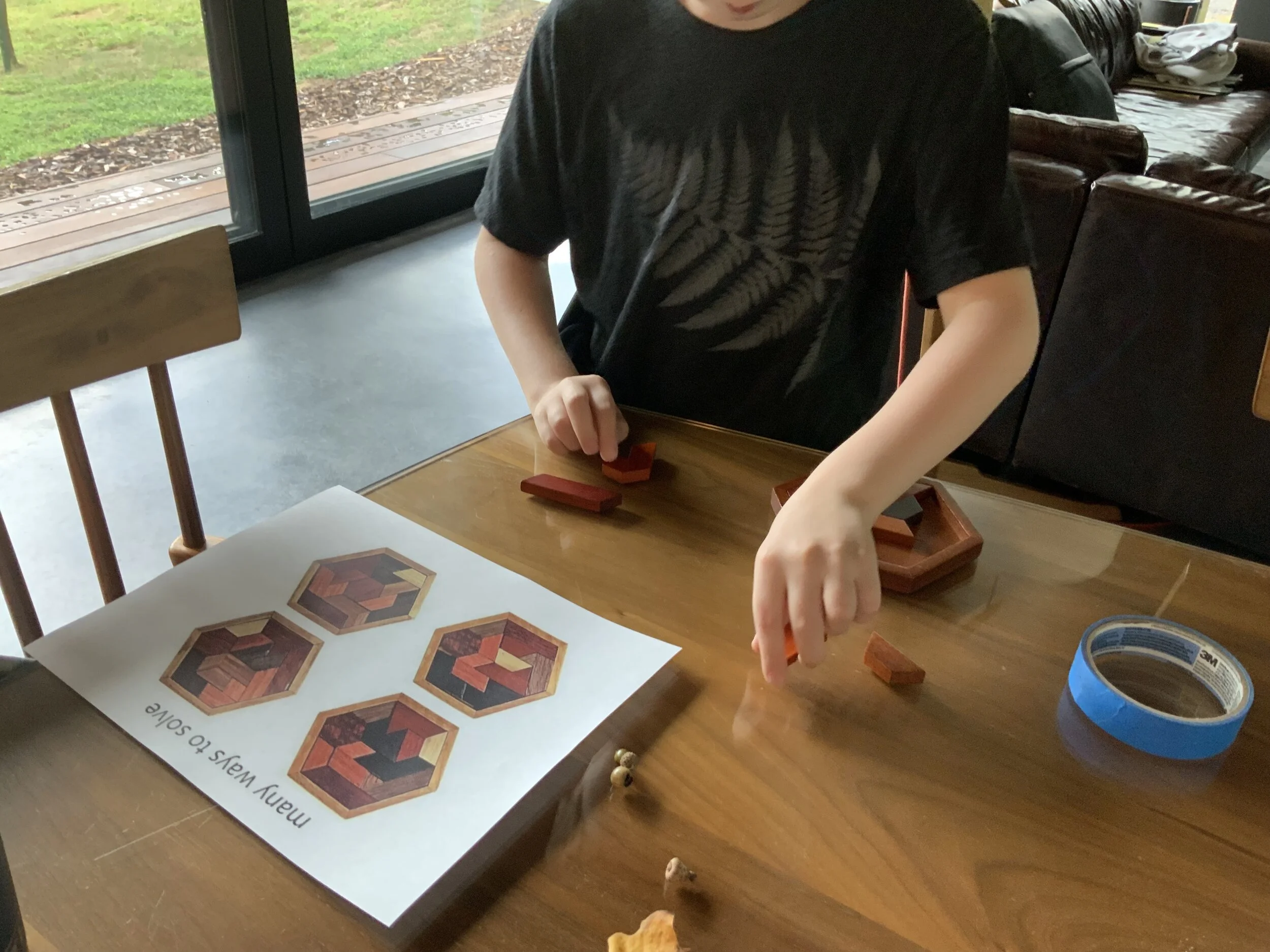 Wooden Puzzles