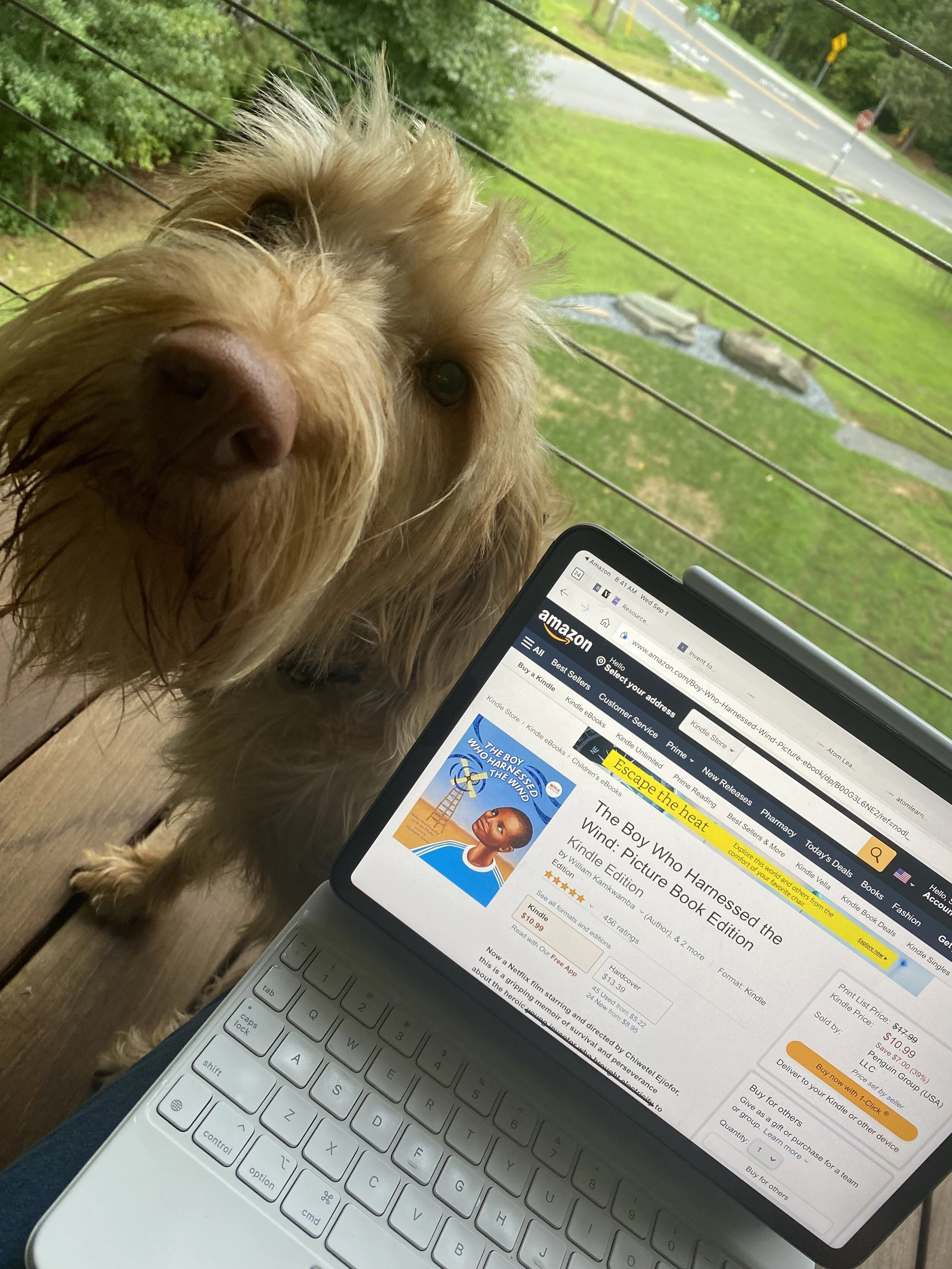 The Helper