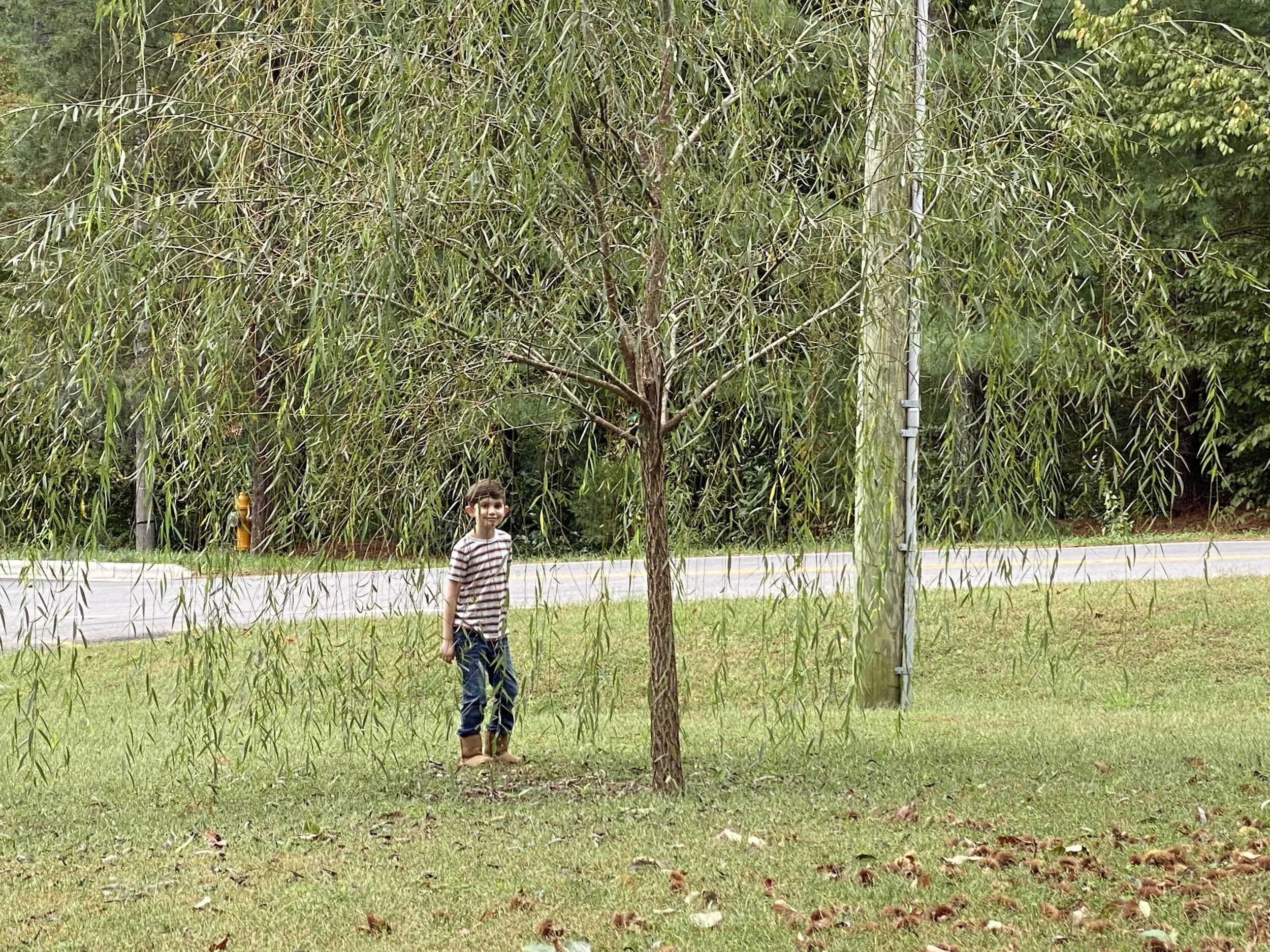 Christopher Columbus learning about seeds, berries, and the impending cold of winter.