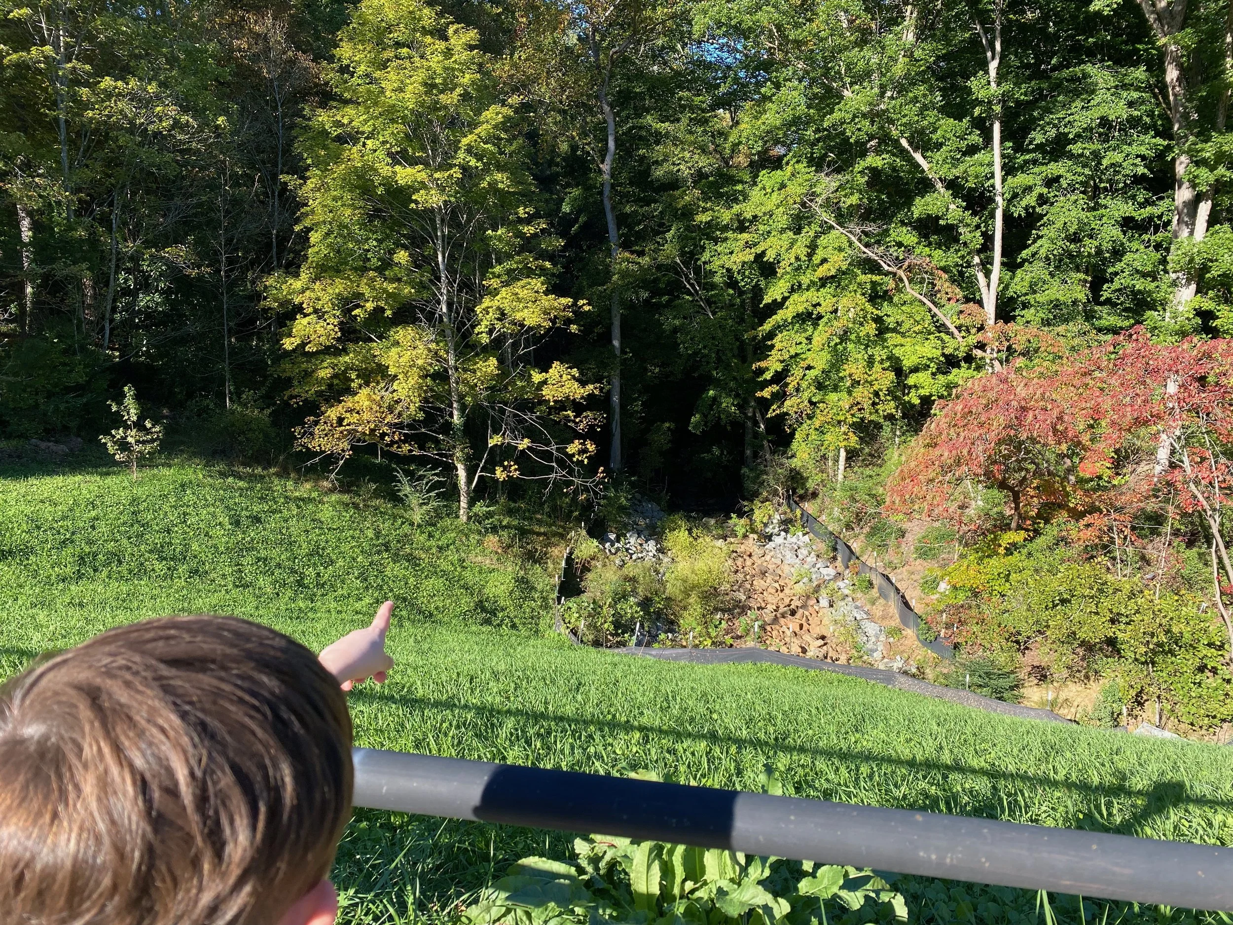 Understanding how the pond feeds the creek
