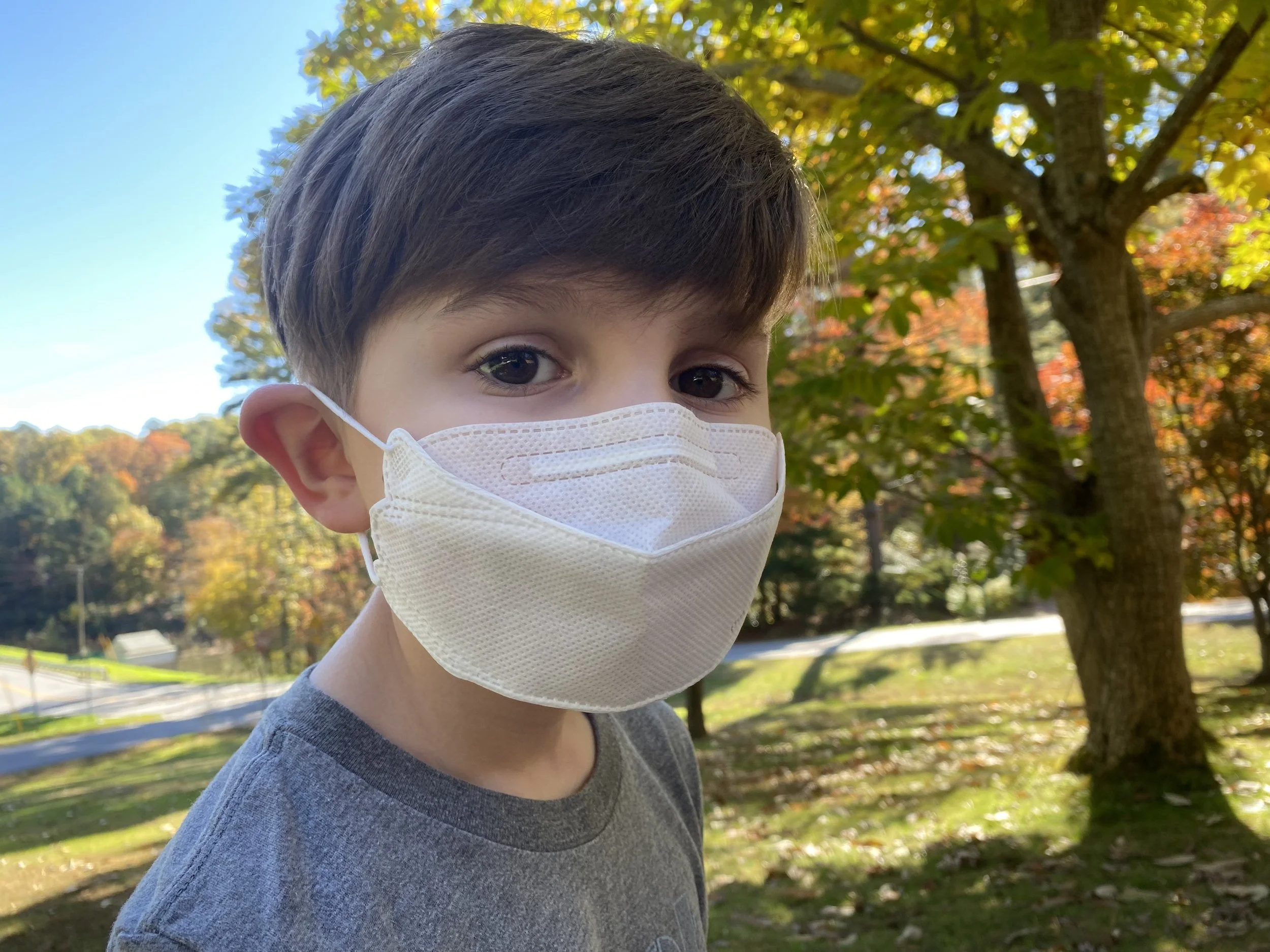Testing Disposable Masks