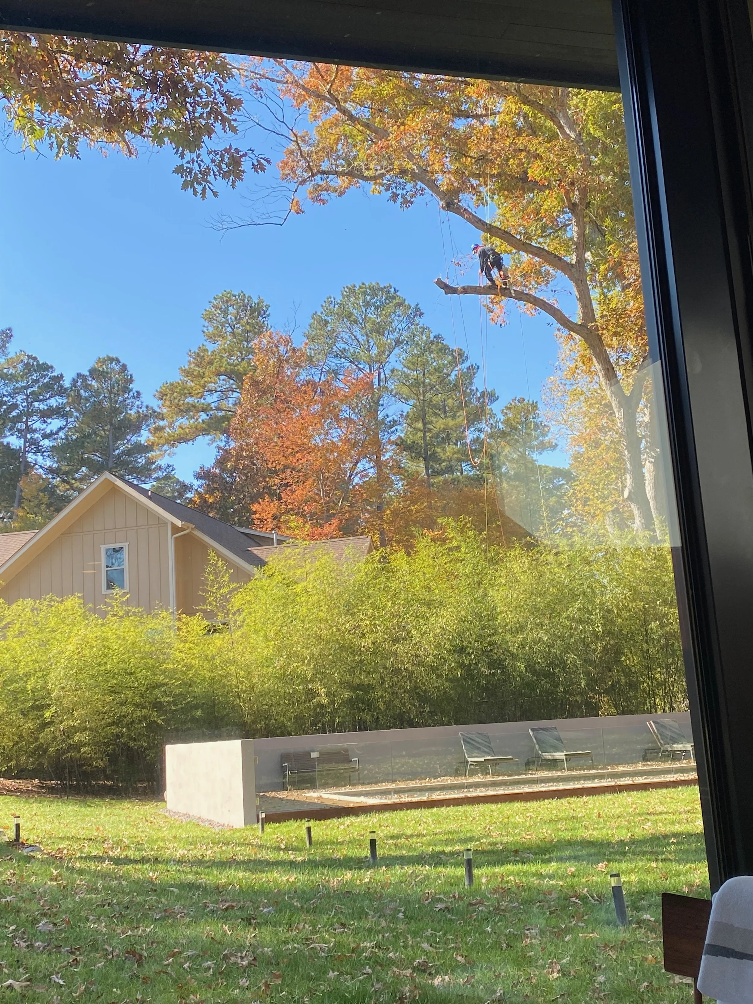 175 Year Maintenance