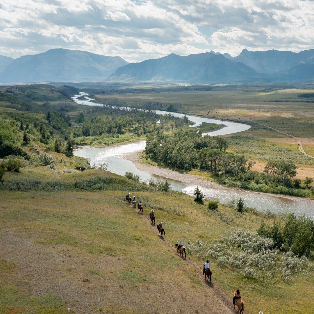 I don't think you can say that you've seen everything in Waterton until you've spent some time exploring the Waterton River with @WatertonRiverTrailRides. Waterton Lakes National Park was devastated by the Kenow Fire in 2017. Fortunately, the area ar