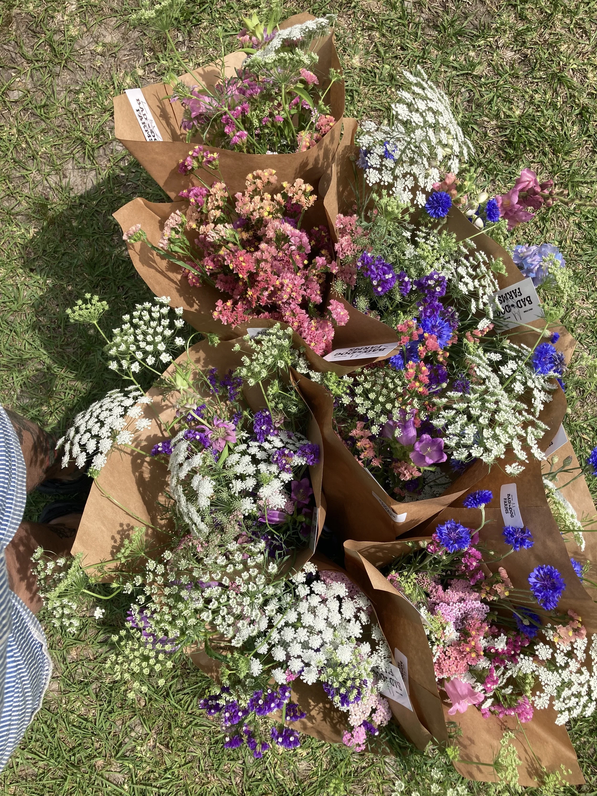 IMG_4004.jpeg