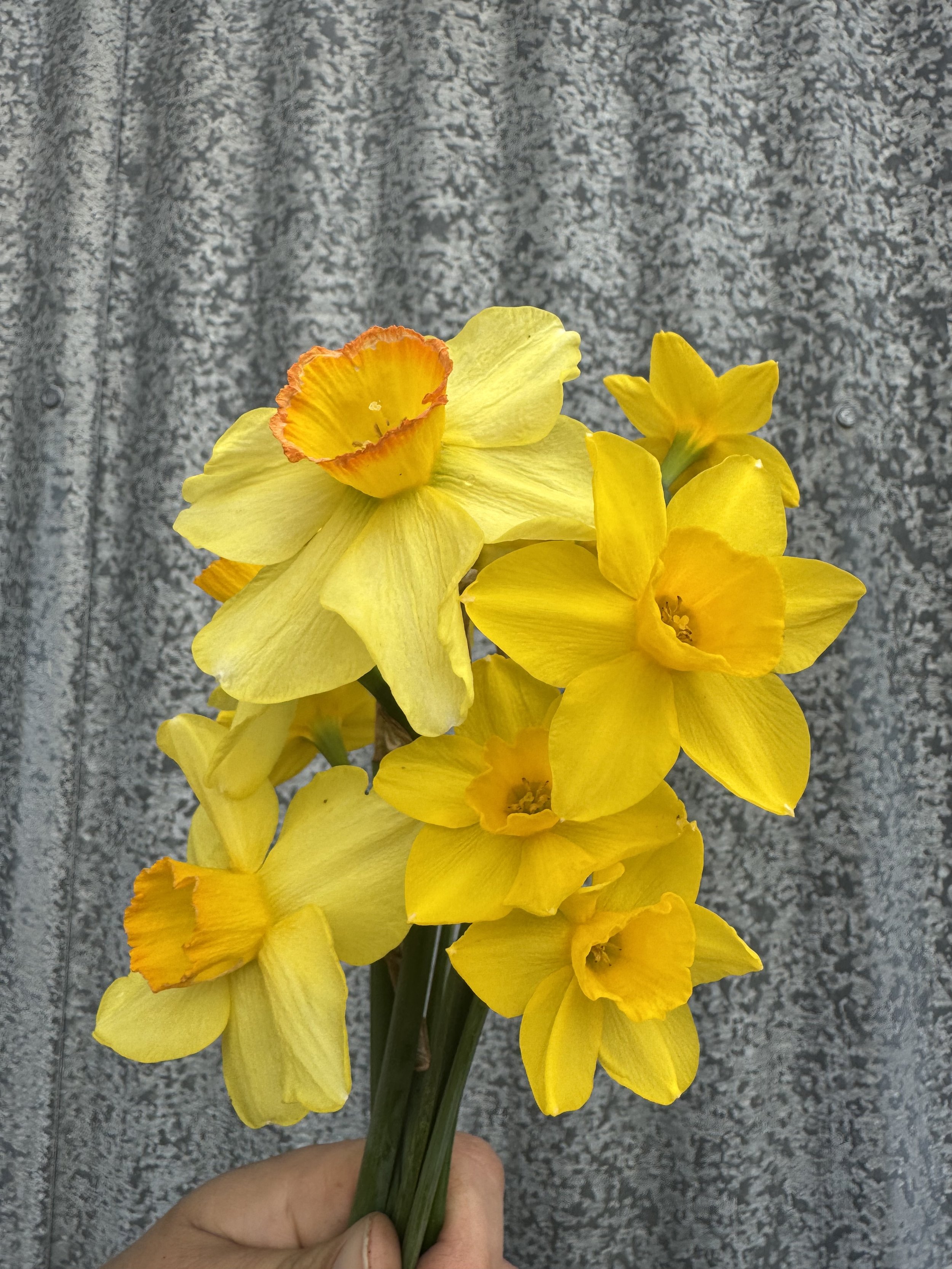 IMG_2382.jpeg