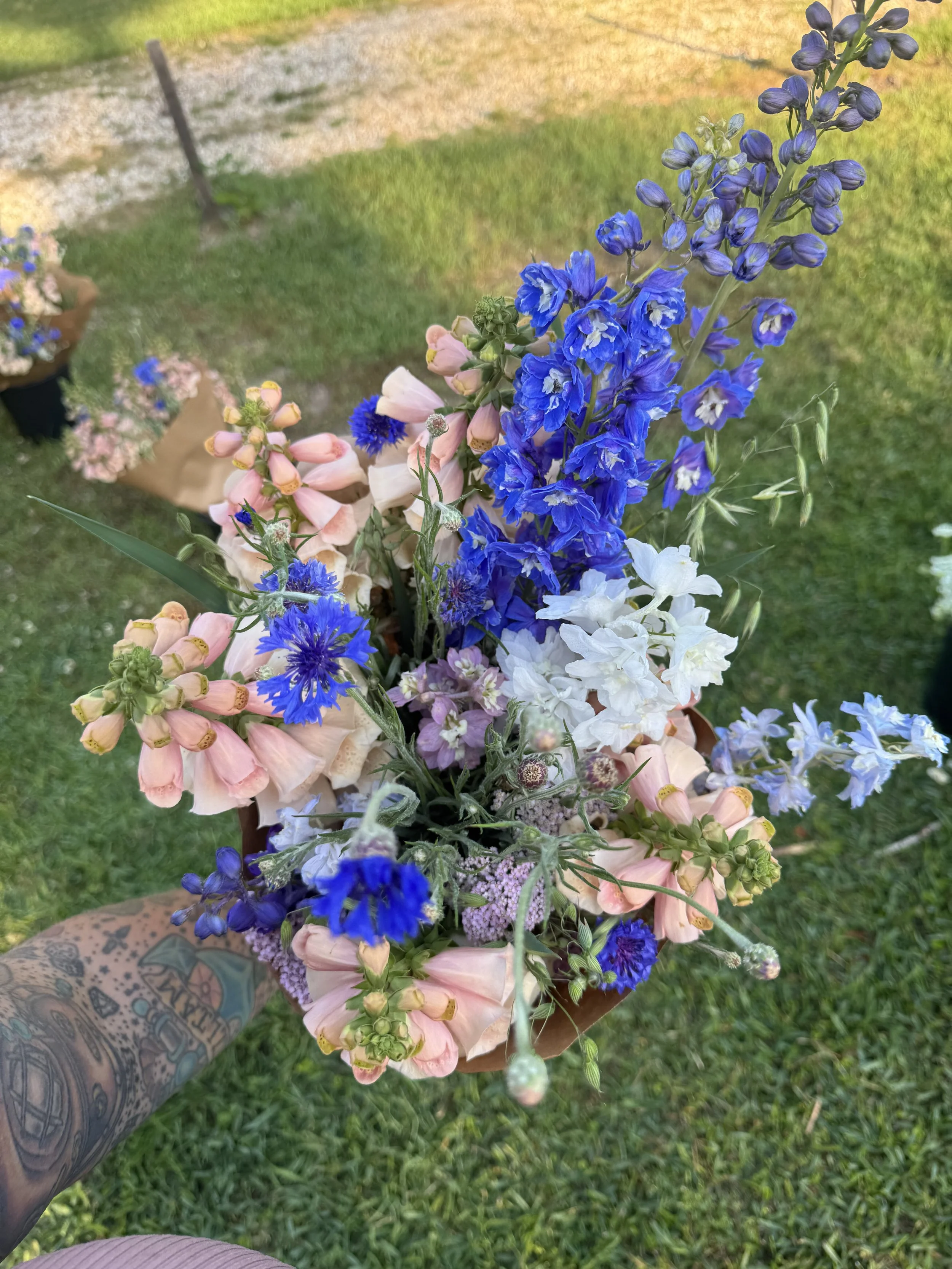 IMG_3449.jpeg