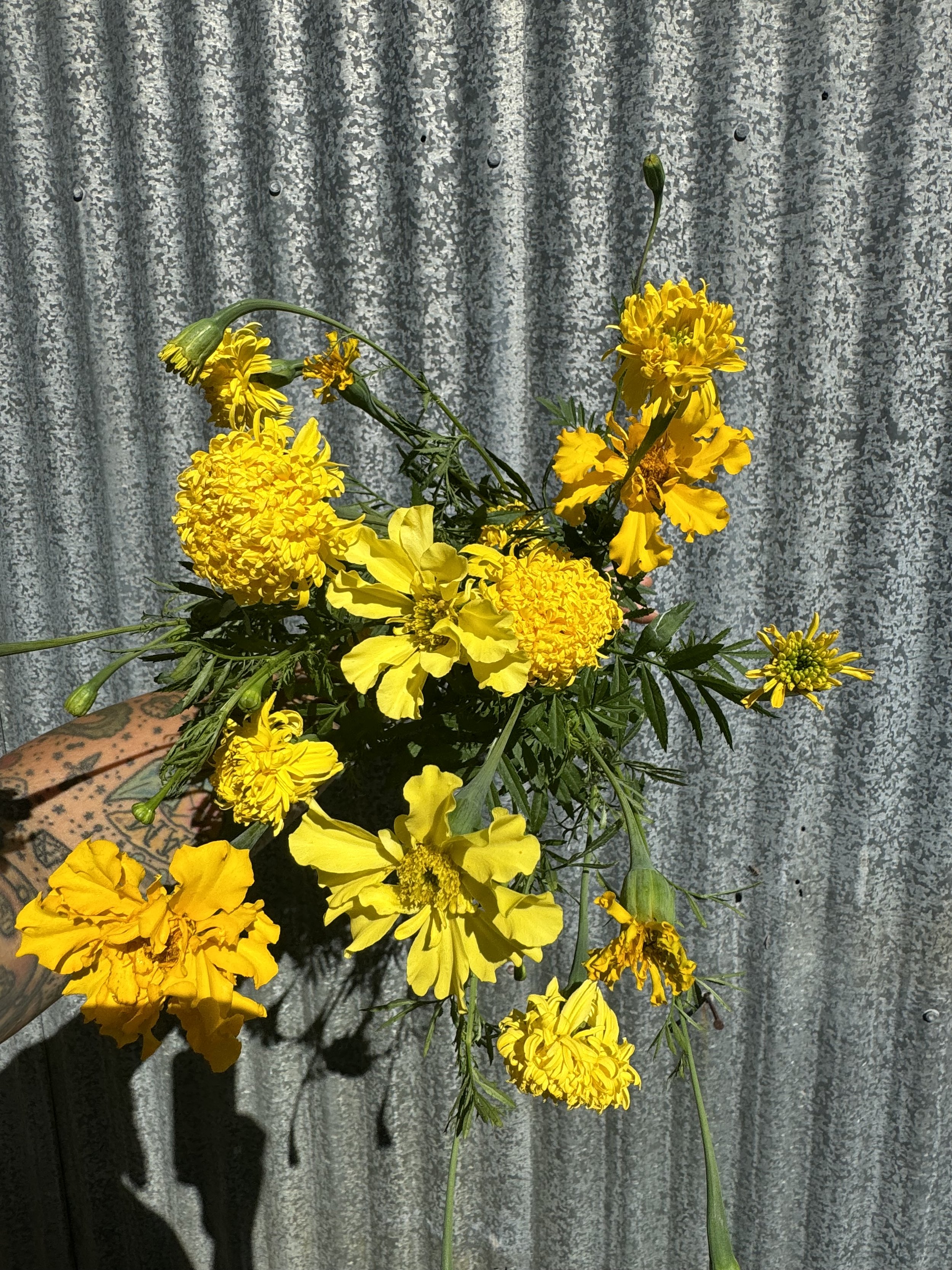 IMG_0637.jpeg