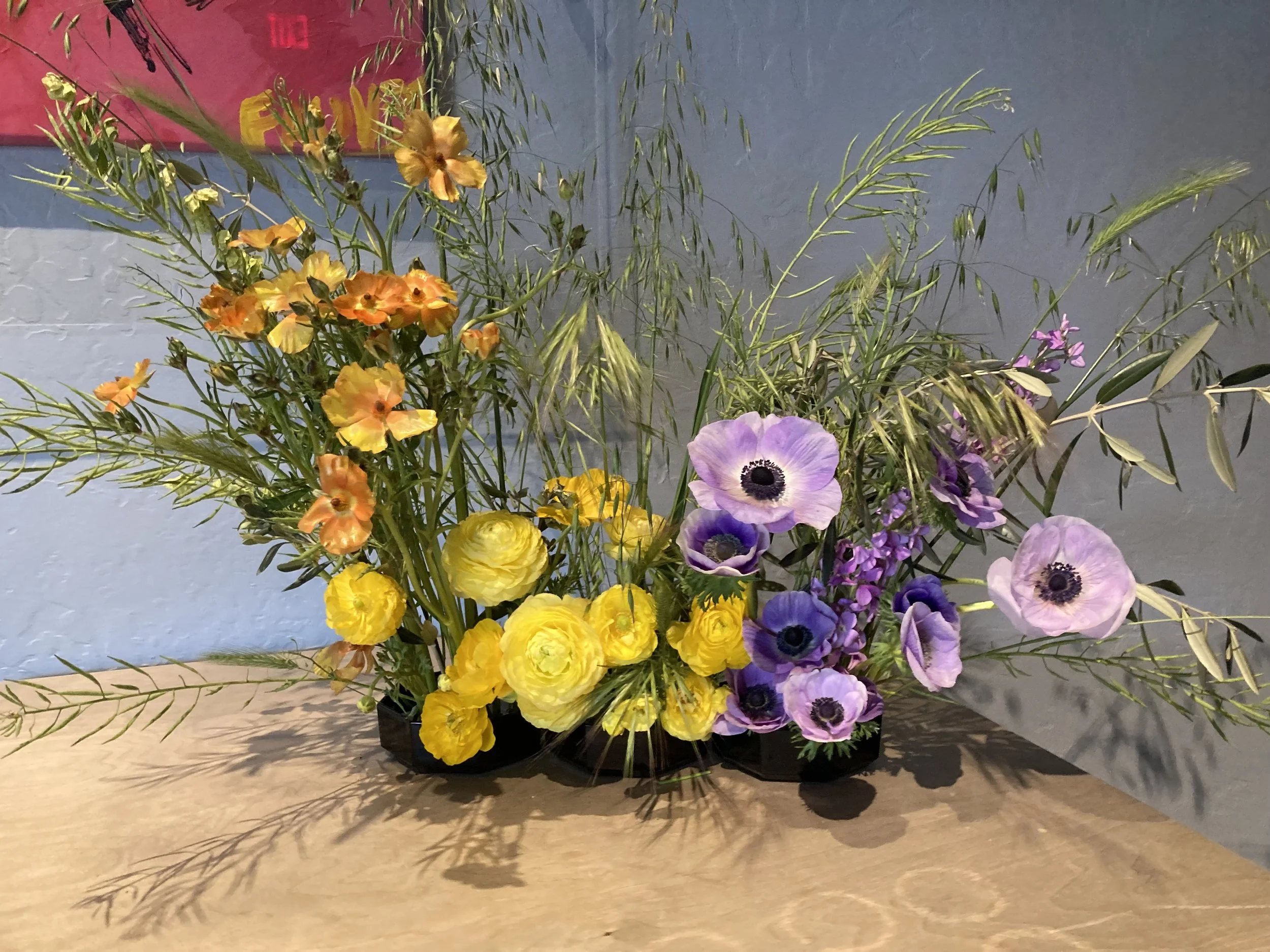 IMG_7993.jpeg