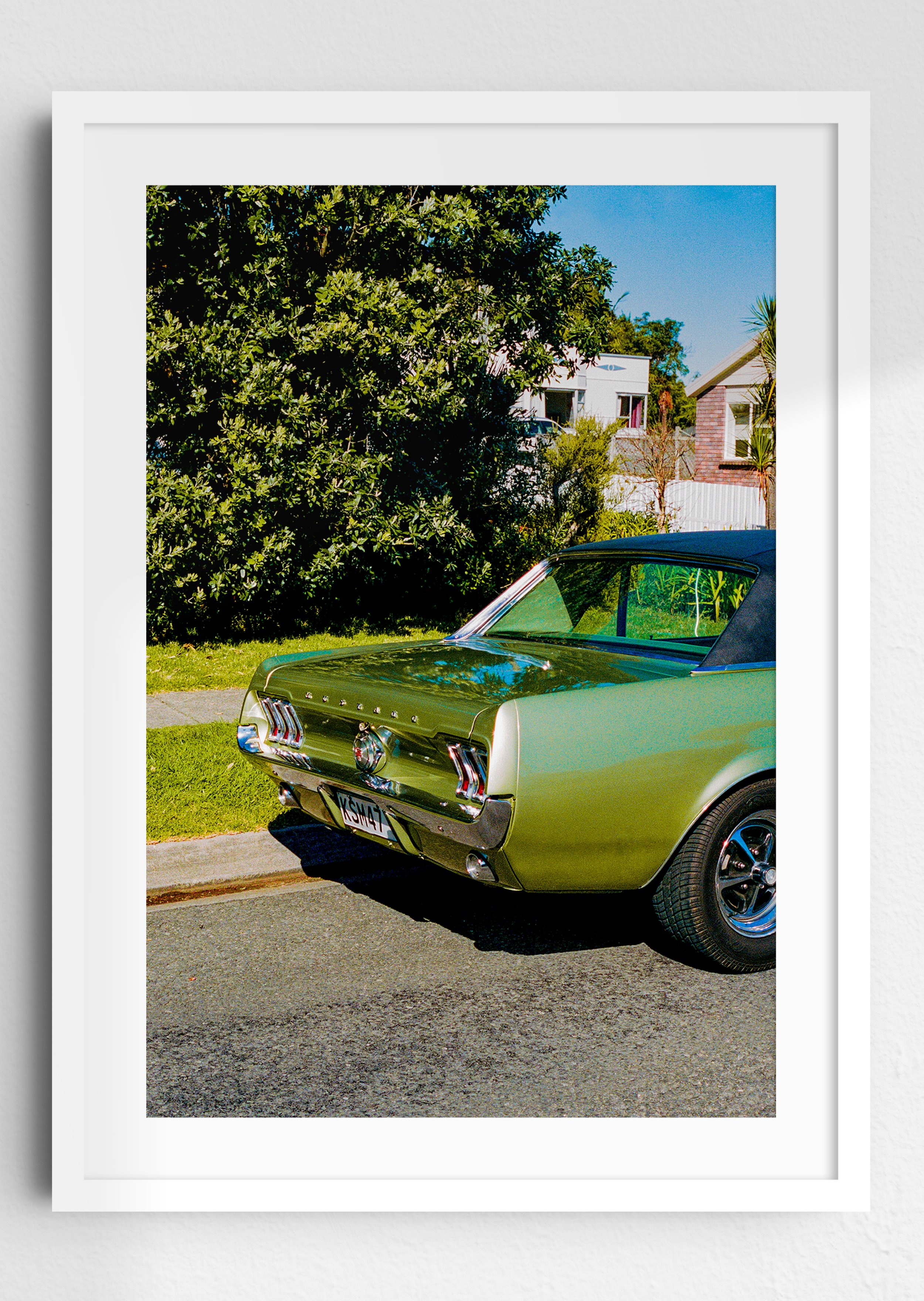 Dear Suburbia White Frame.jpg