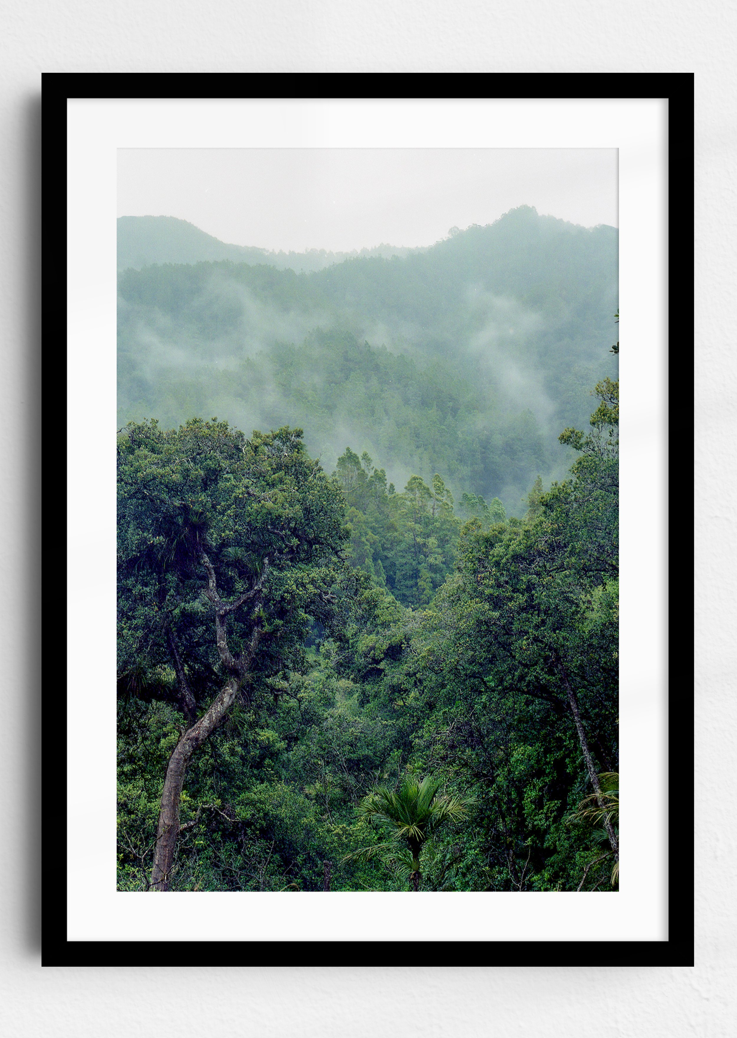 Northland Forest Black Frame.jpg