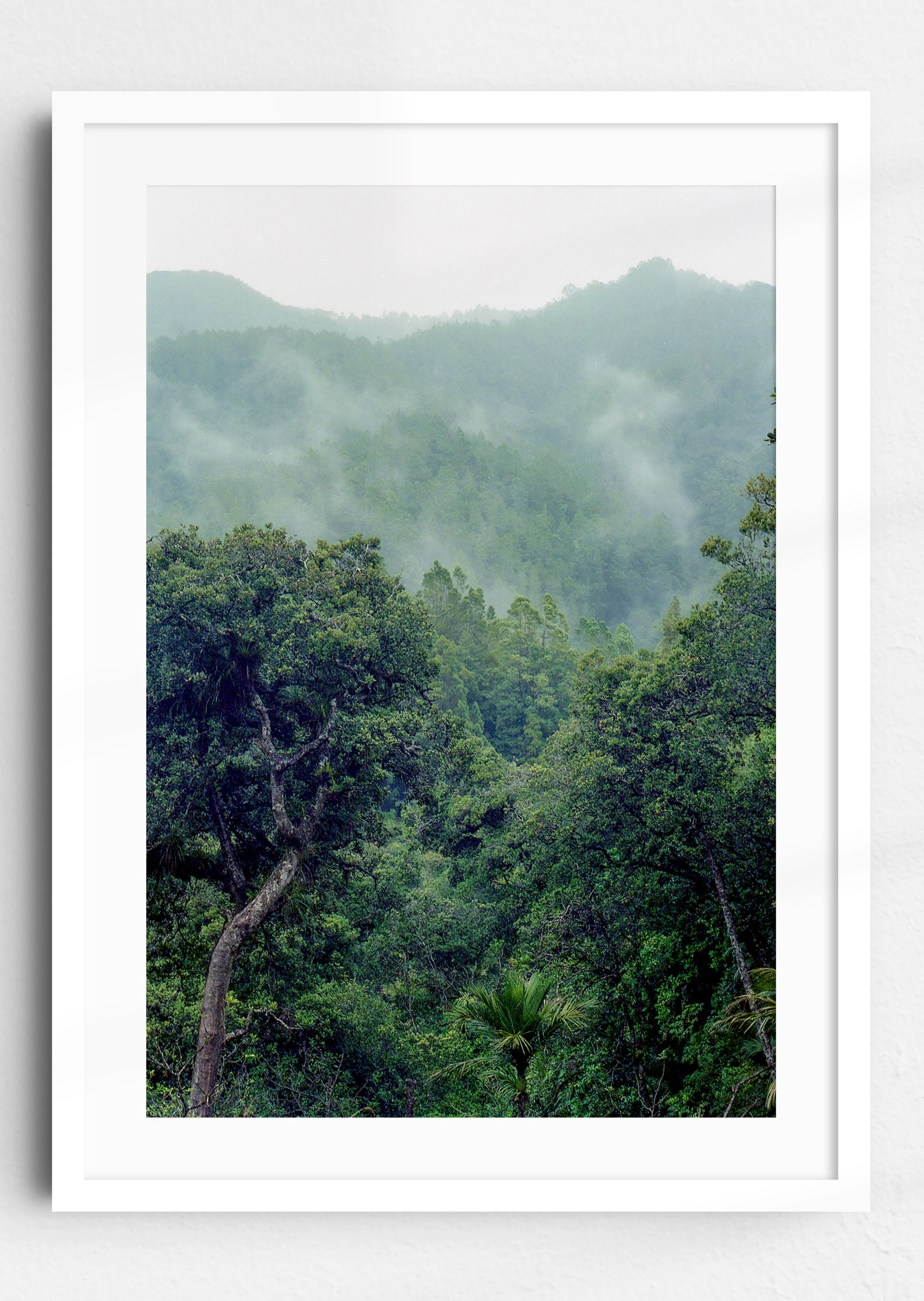 Northland Forest White Frame.jpg