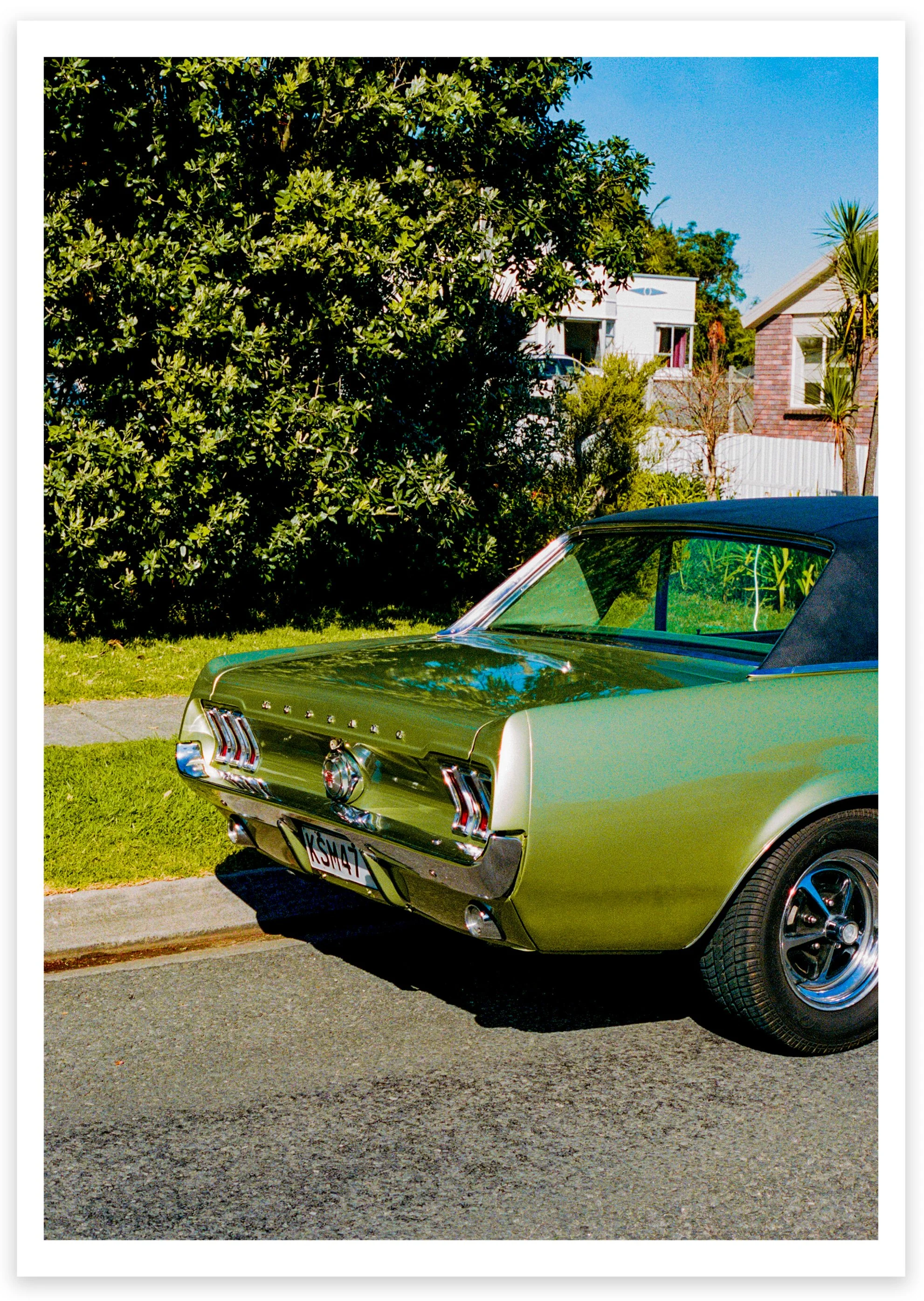 Dreams Of Suburbia Photographic Print.jpg