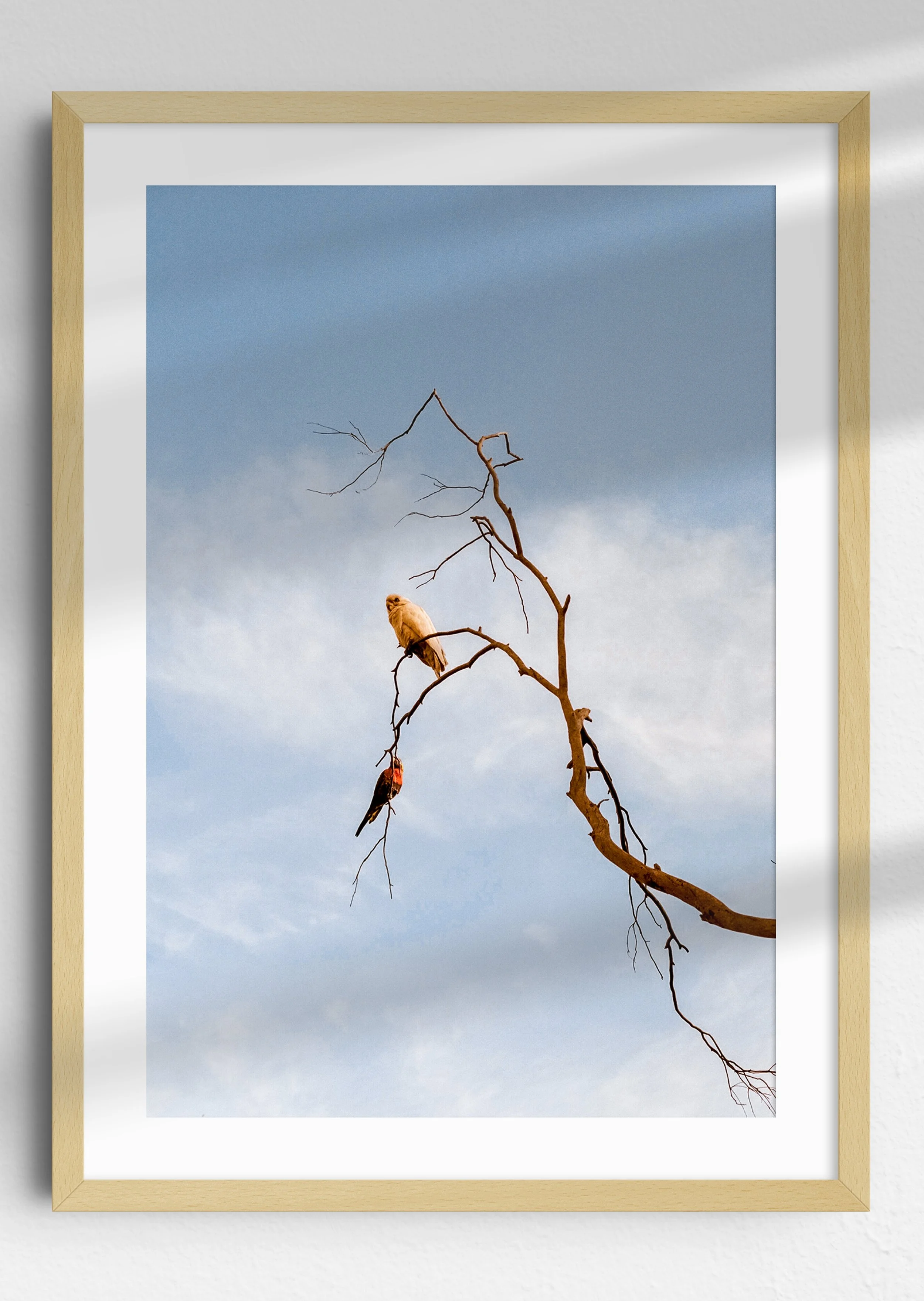 Elevated Oak Frame.jpg