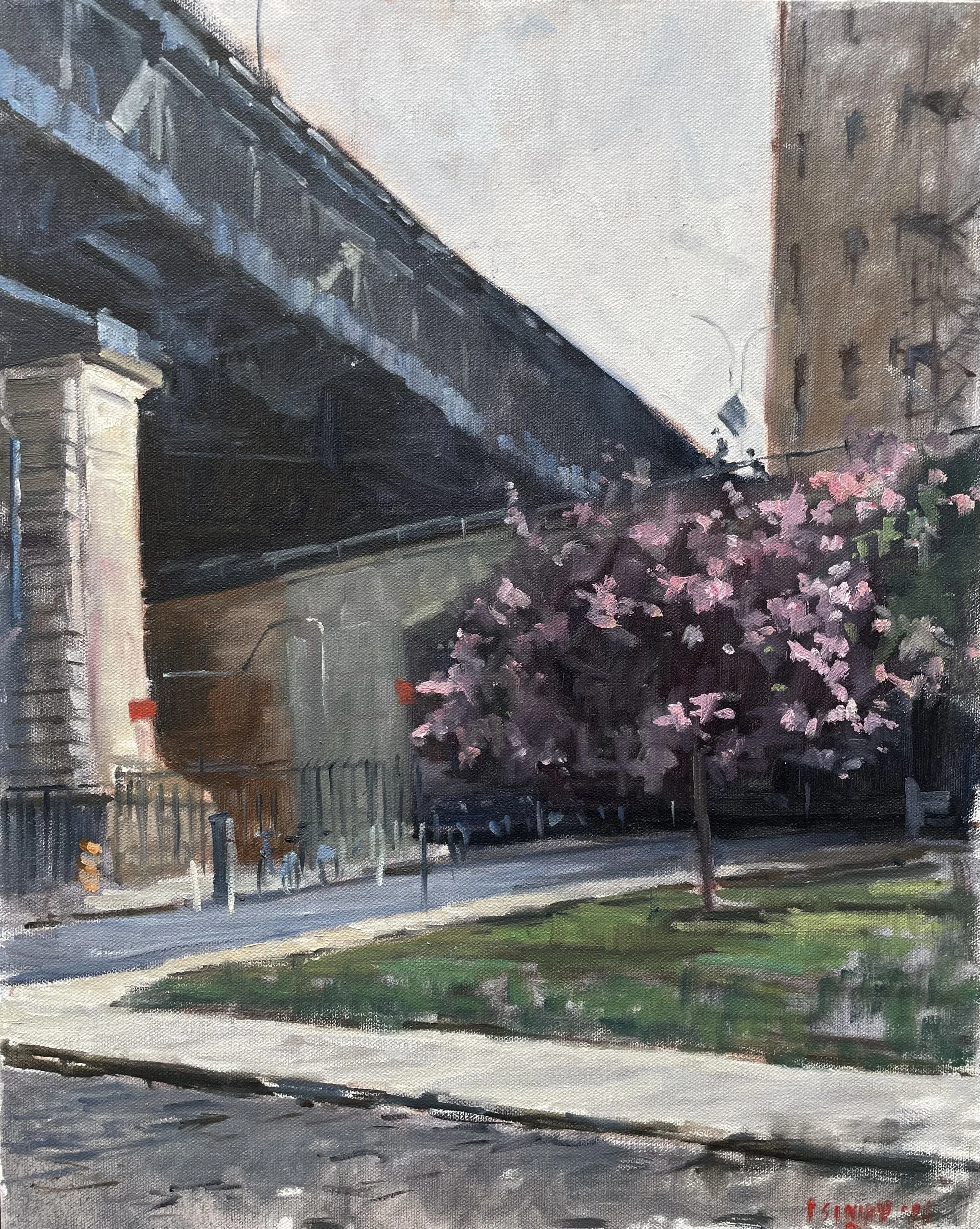 Cherry Blossoms, Dumbo