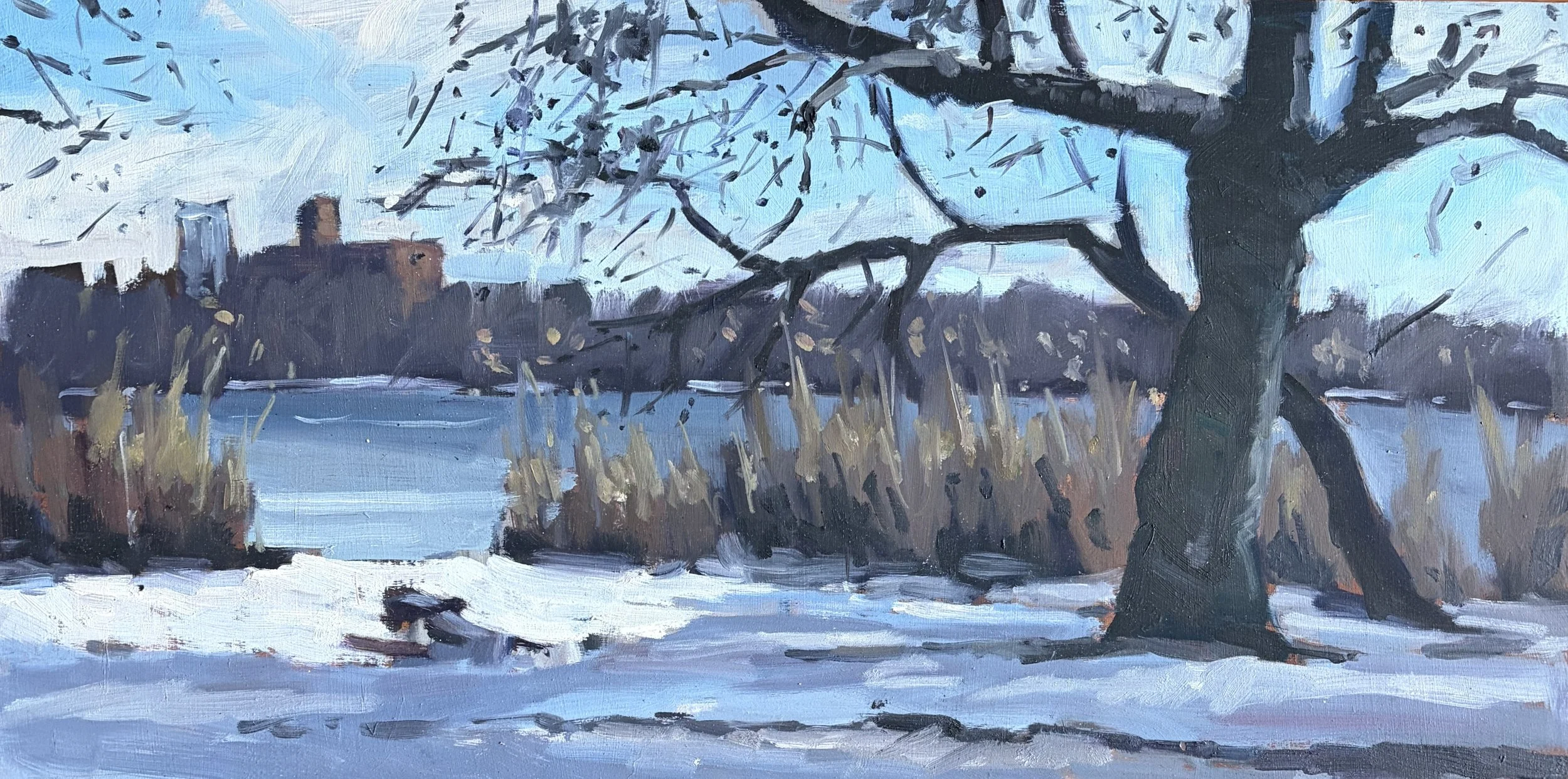 prospect park lake snow 10x19 board.jpeg