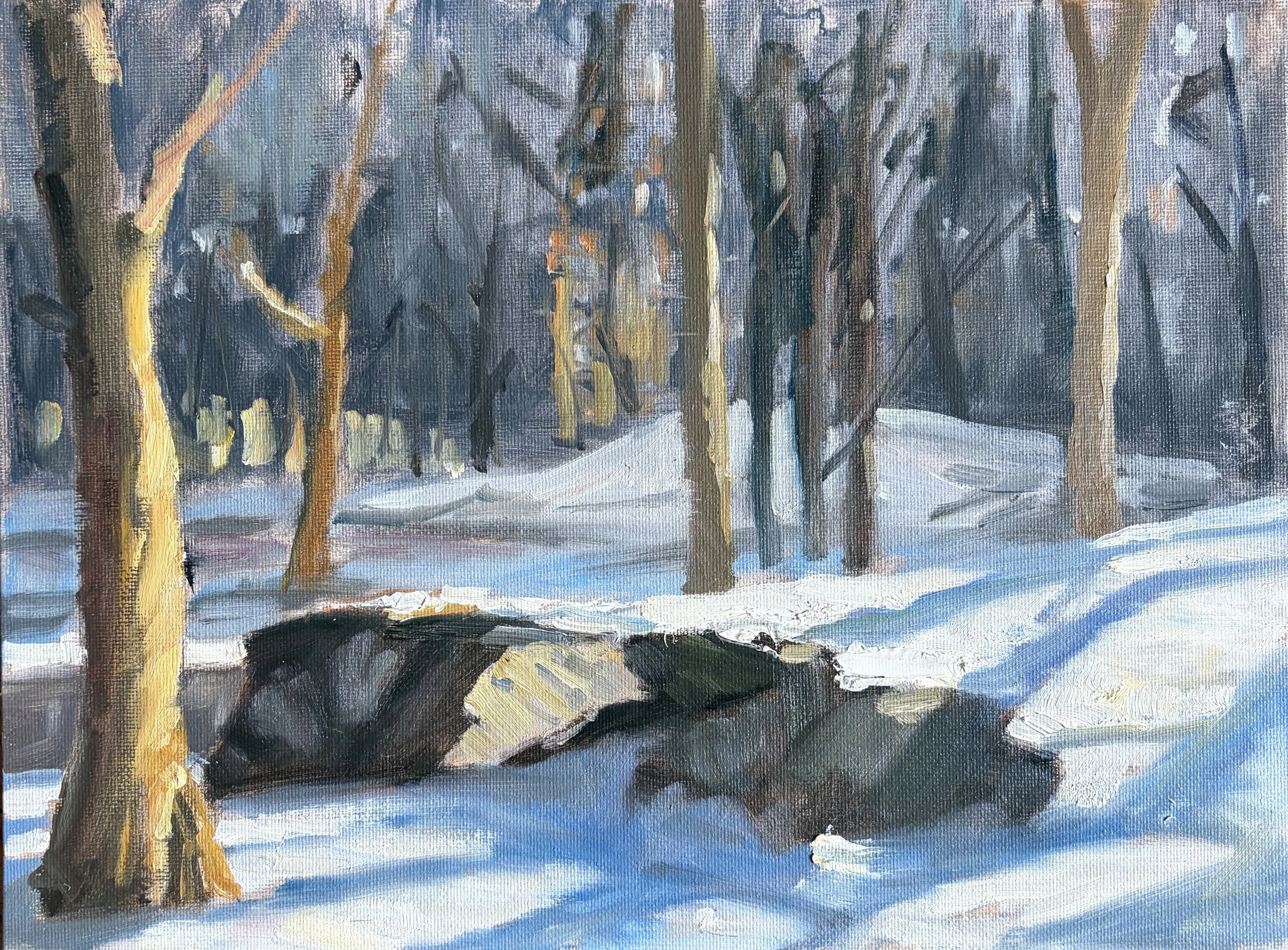 snowy park 9x12 board.jpeg