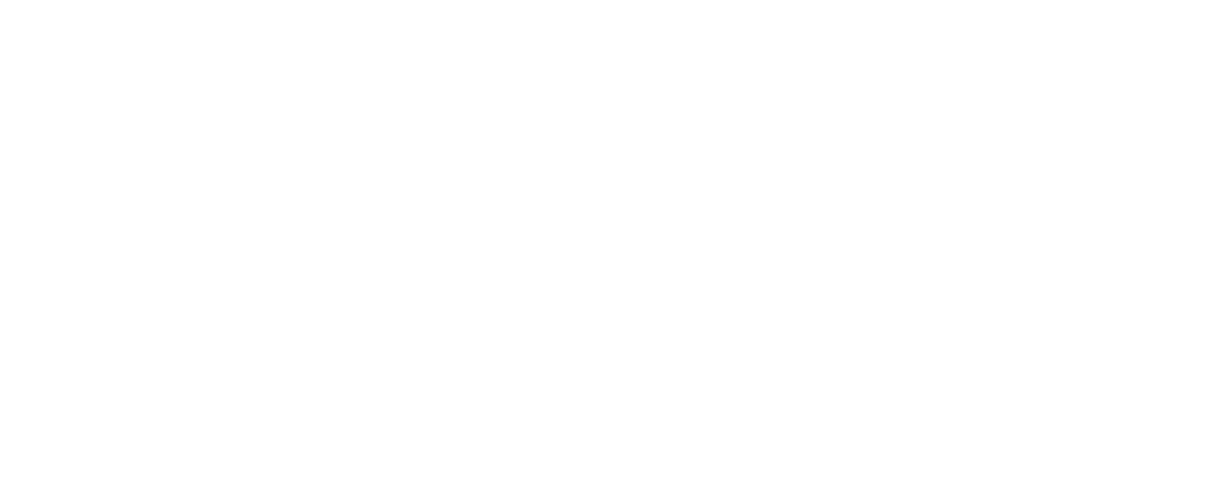 SSOUTH EAST MELBOURNE PHOENIX LOGO WHITE