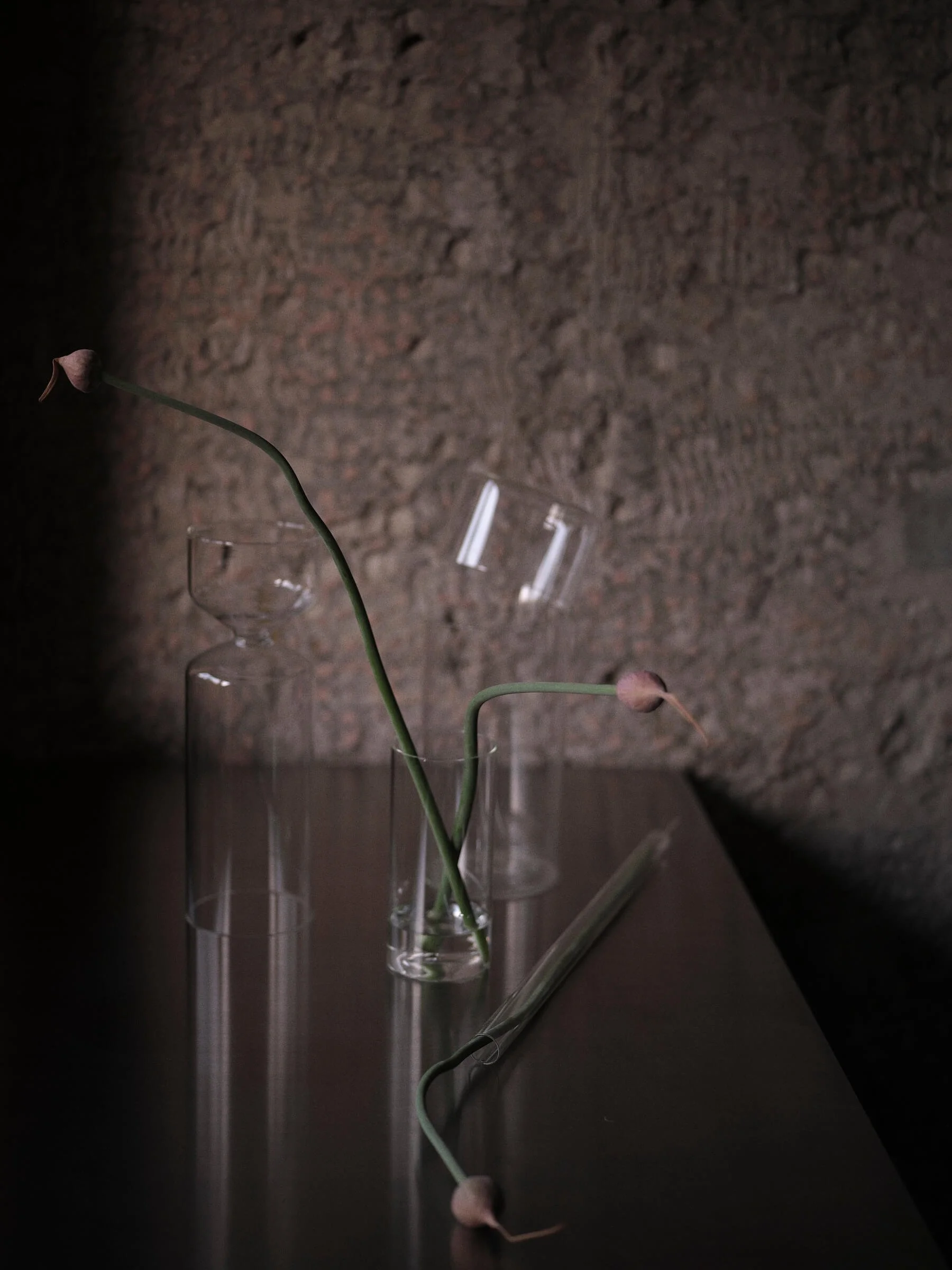 AUGUSTA PASTOR CASA COR 76.jpg