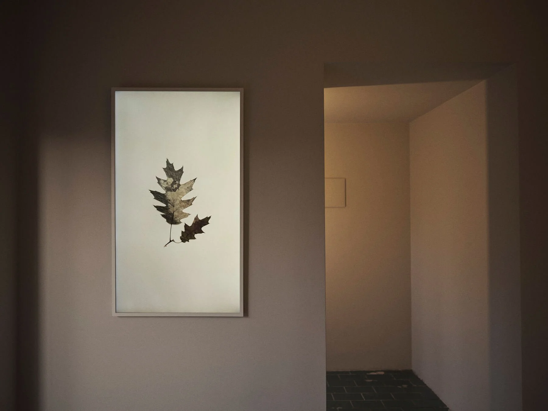 AUGUSTA PASTOR CASA COR 70.jpg