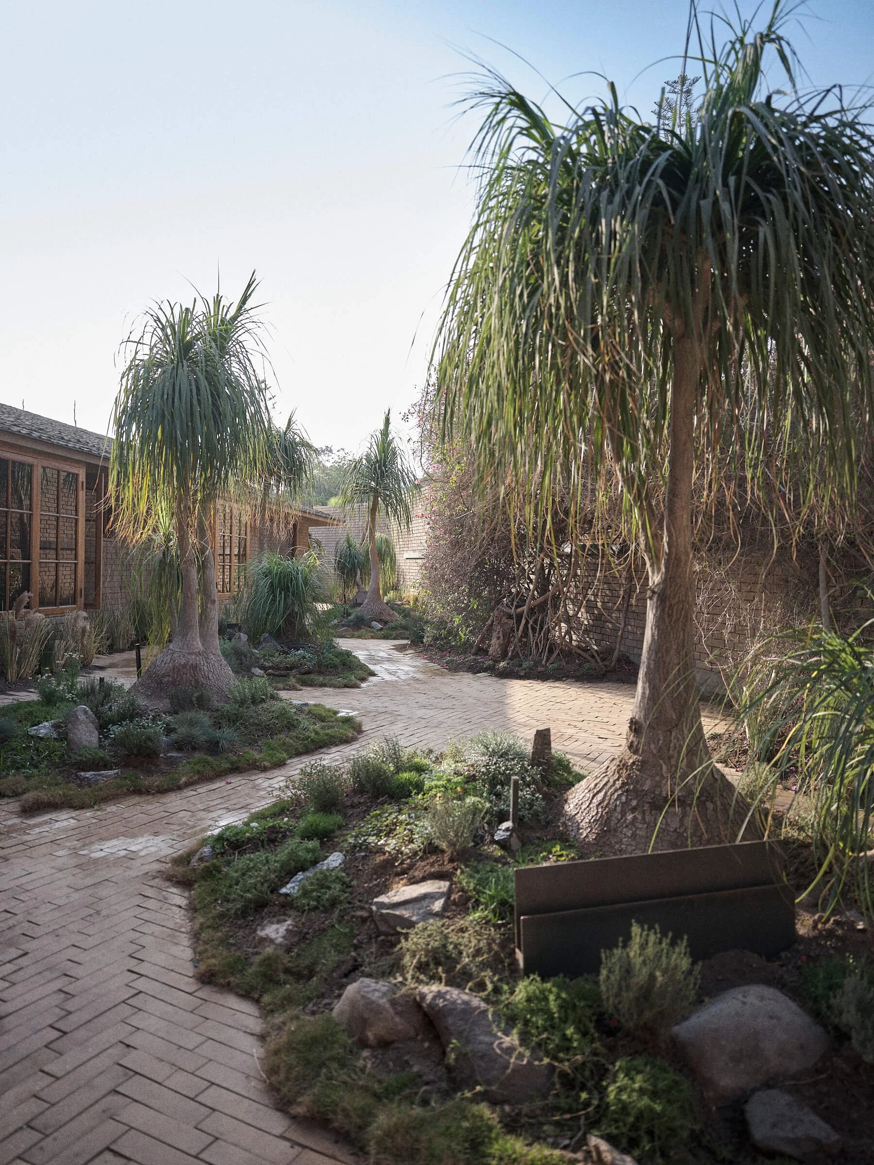 AUGUSTA PASTOR CASA COR 23.jpg