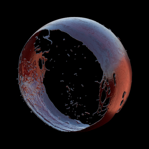 THE CIRCLE #01