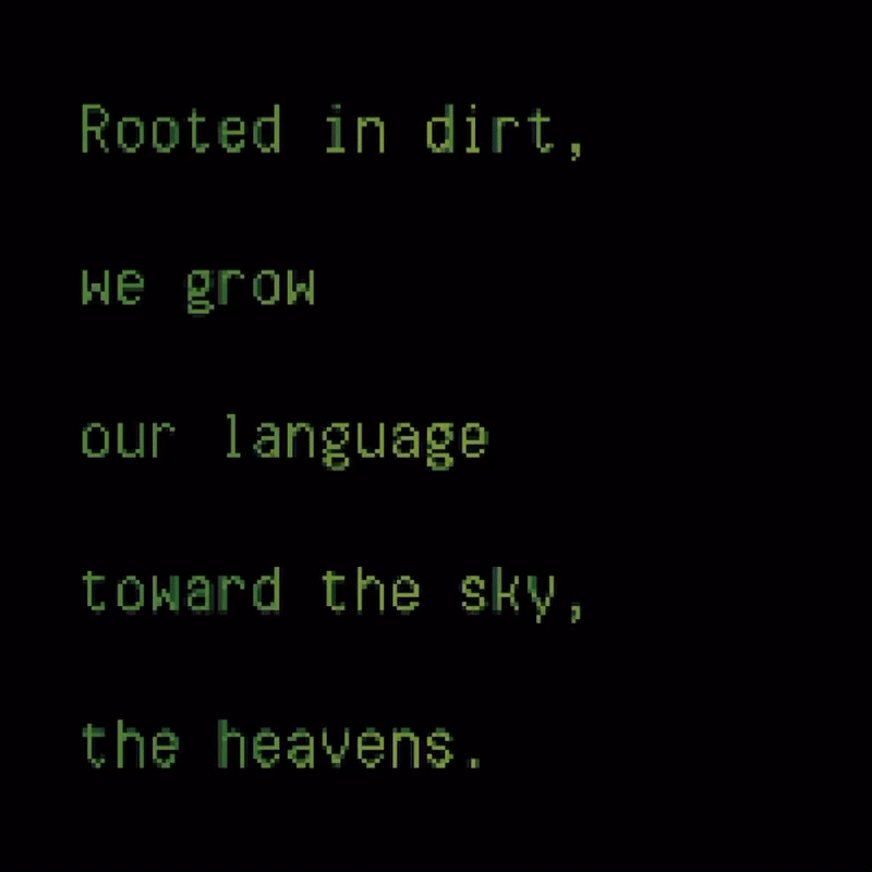 We grow our language toward the sky by Sasha Stiles