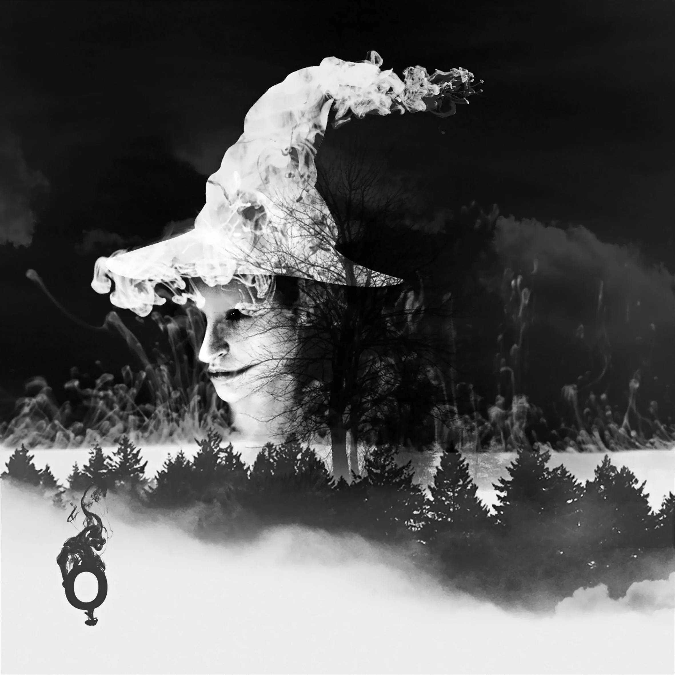 The Witch in the Woods