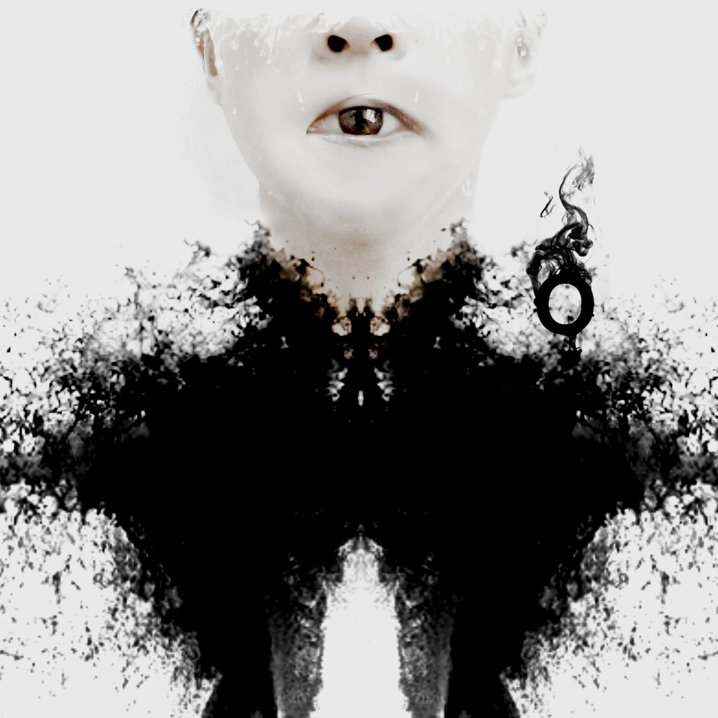 Speak with your Eye