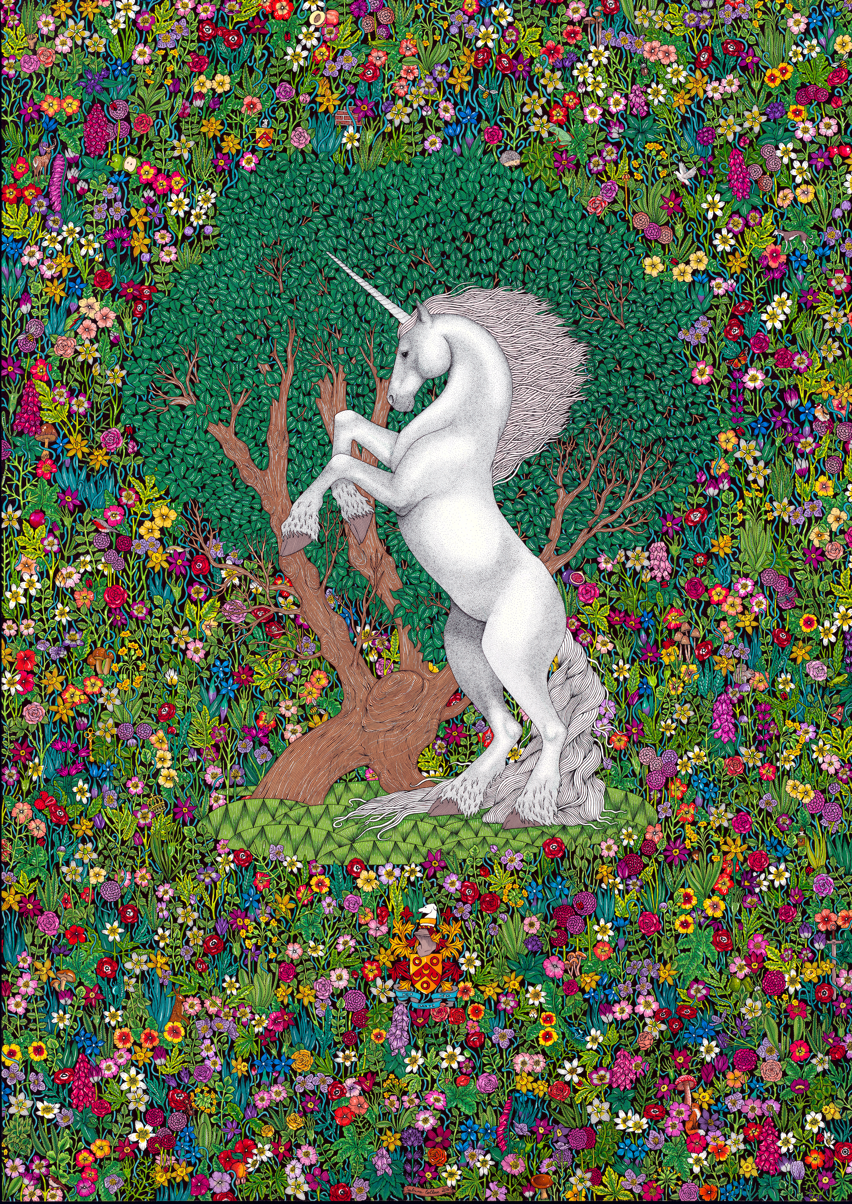 The Unicorn and its Garden