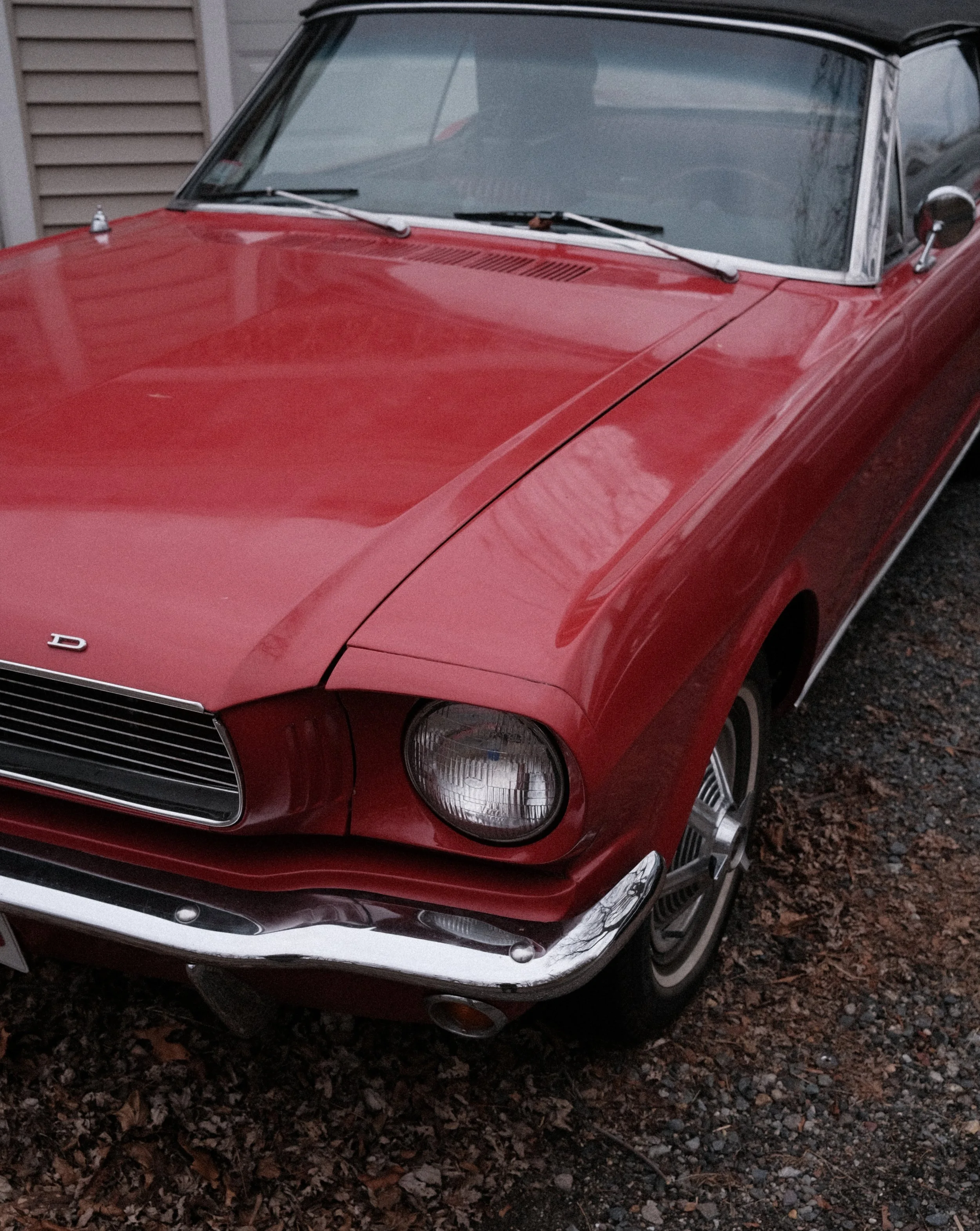 DSCF5165.jpg