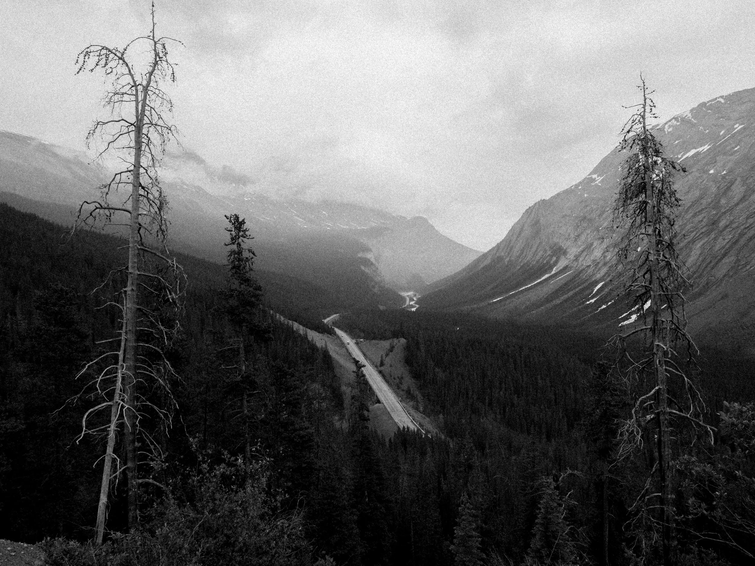 DSCF0699.jpg