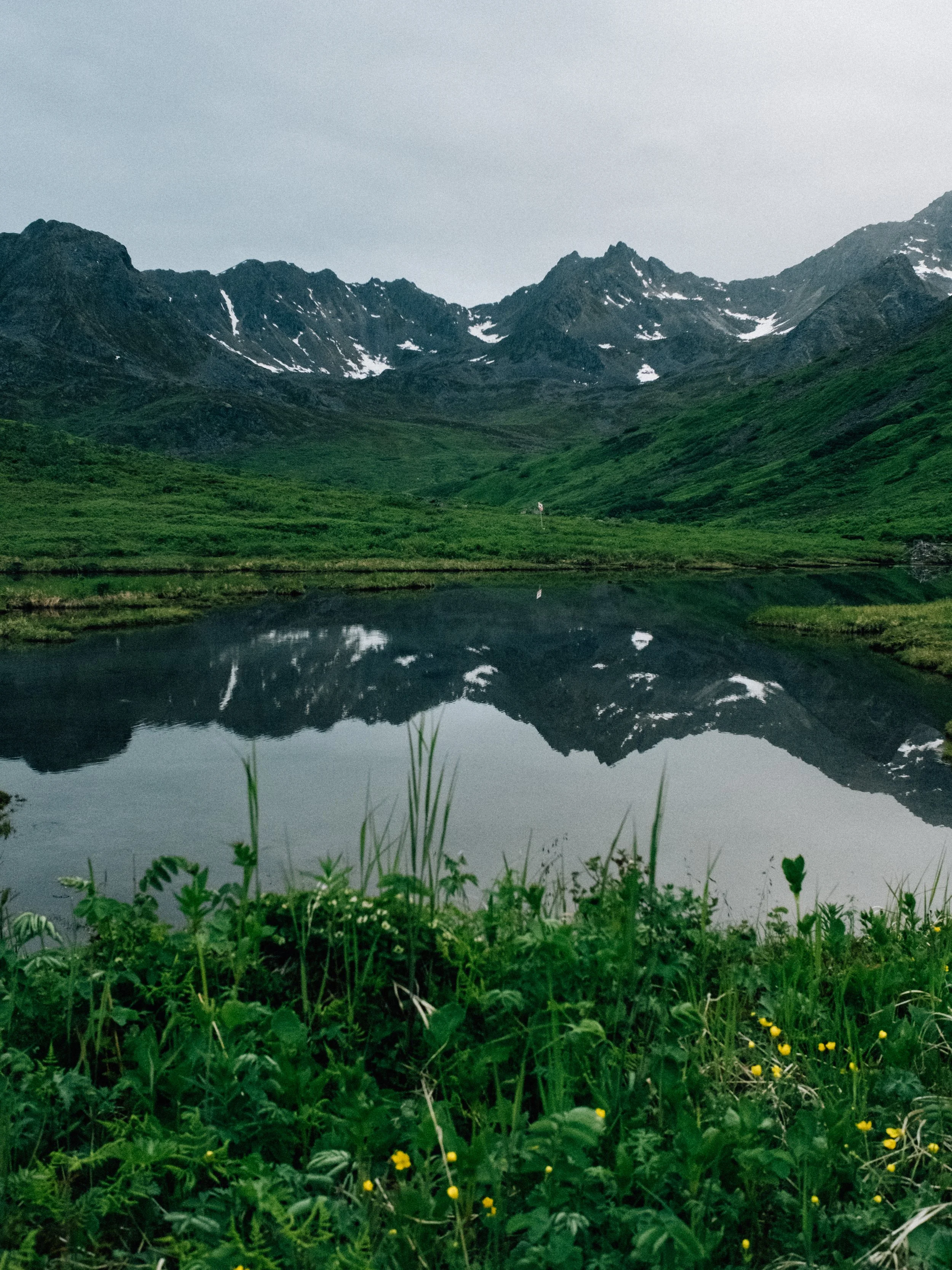 DSCF4393.jpg