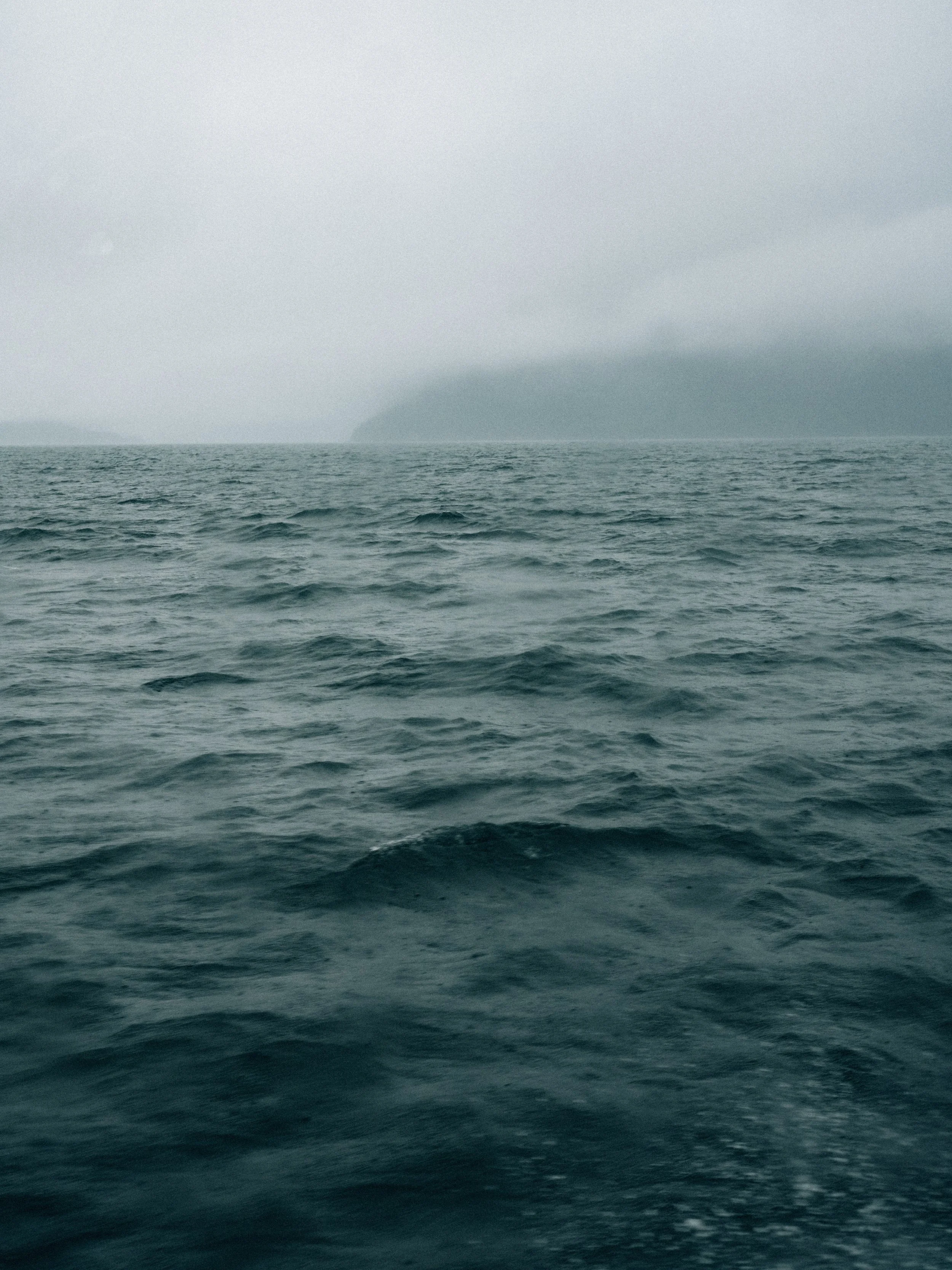 DSCF5308.jpg
