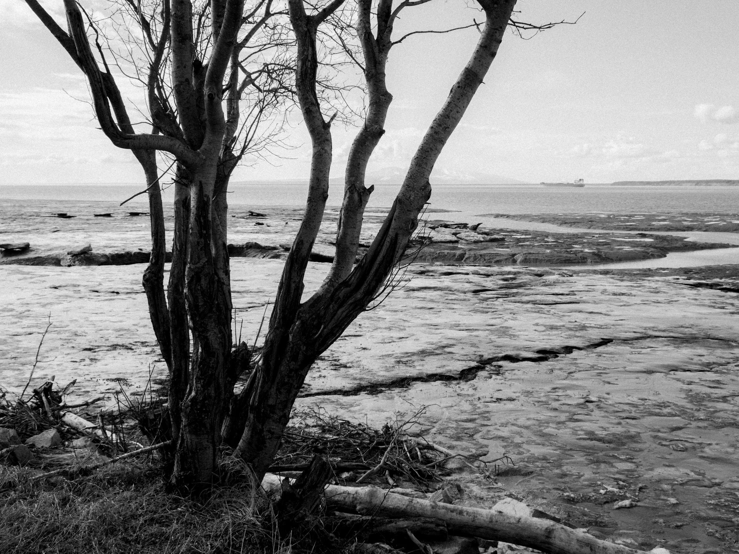 DSCF0935.jpg