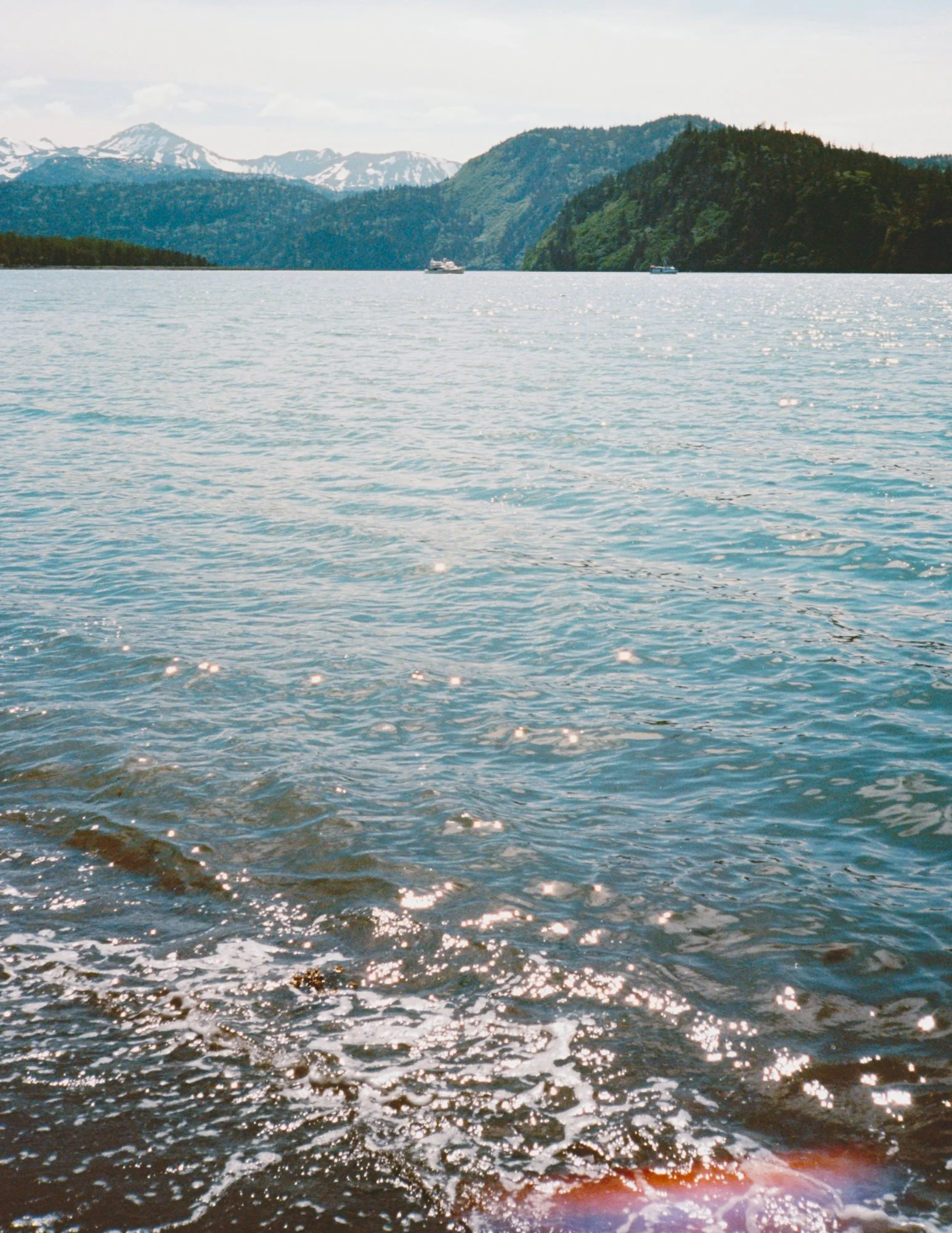 AI5A4380.jpg