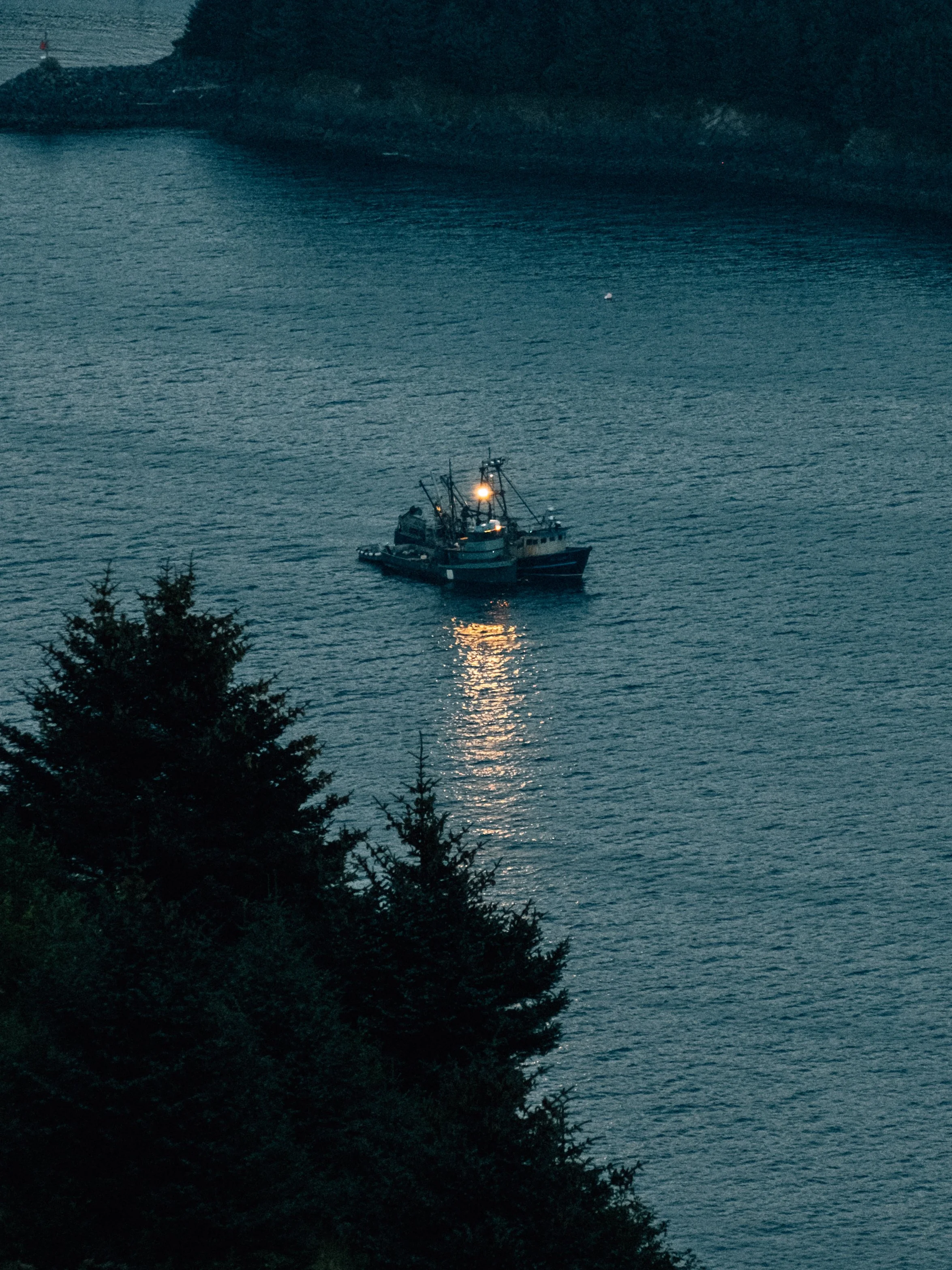 DSCF8872.jpg