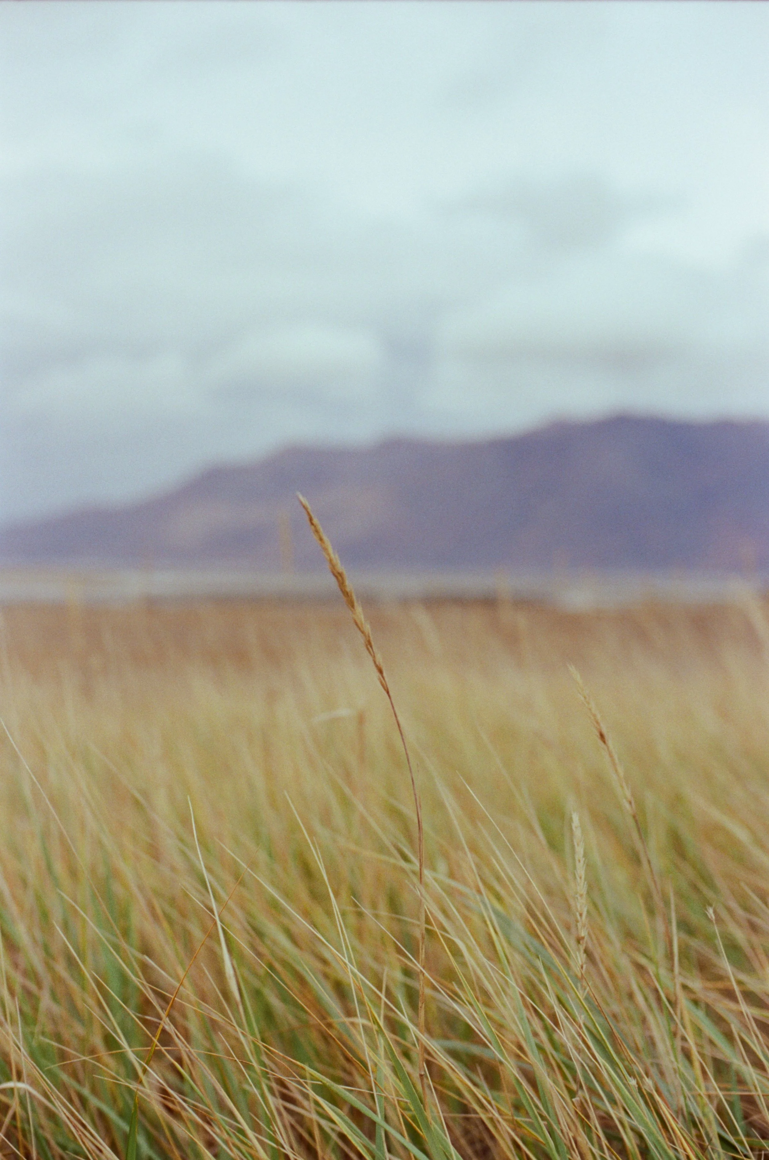 7140-04.jpg