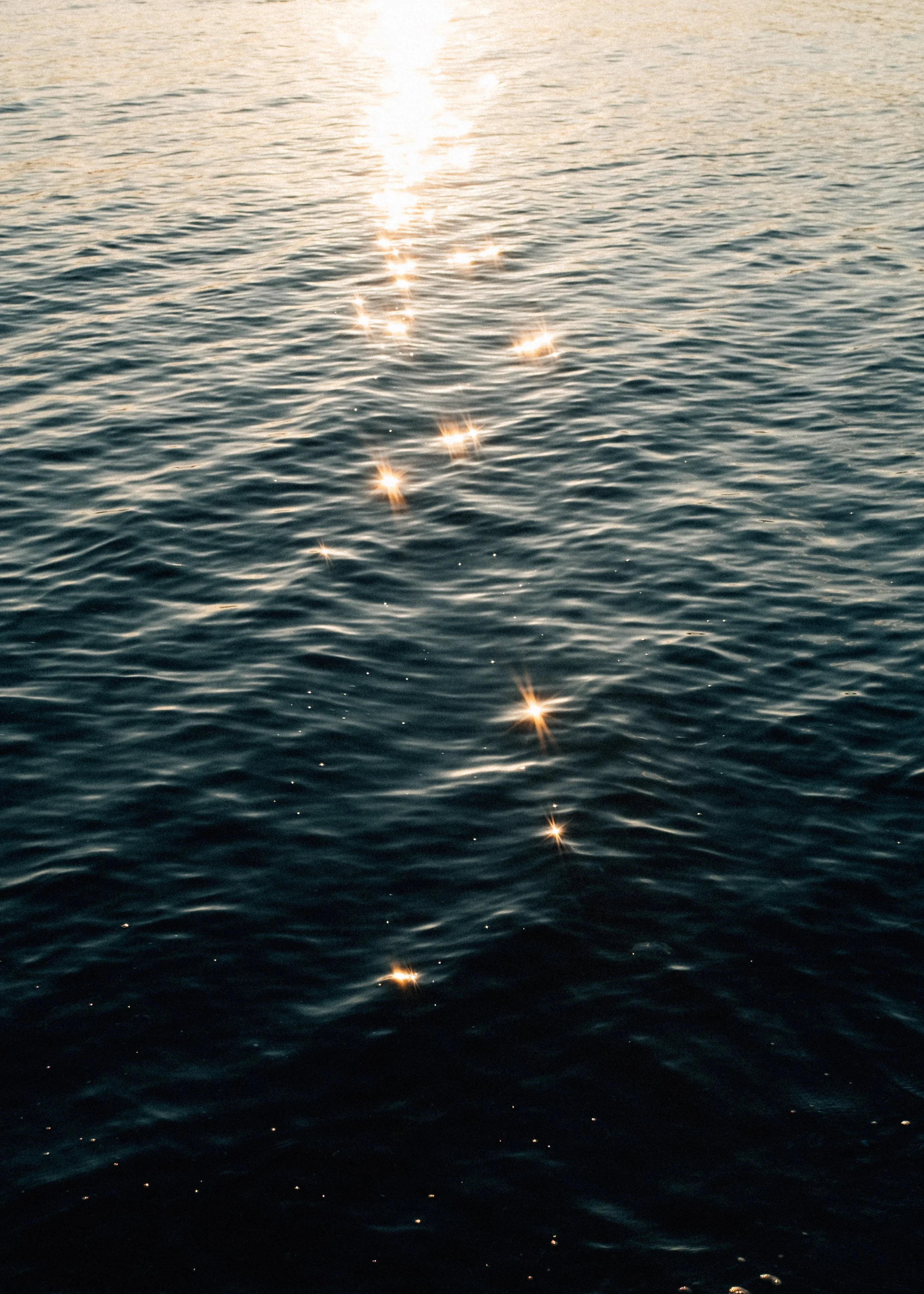 DSCF4300.jpg