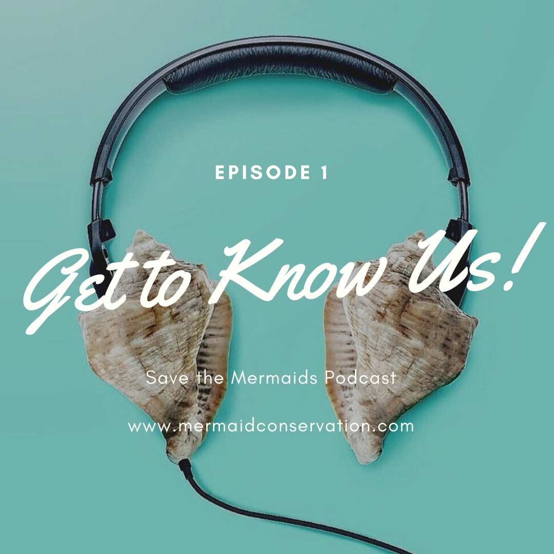 Episode 01: Get to know us!