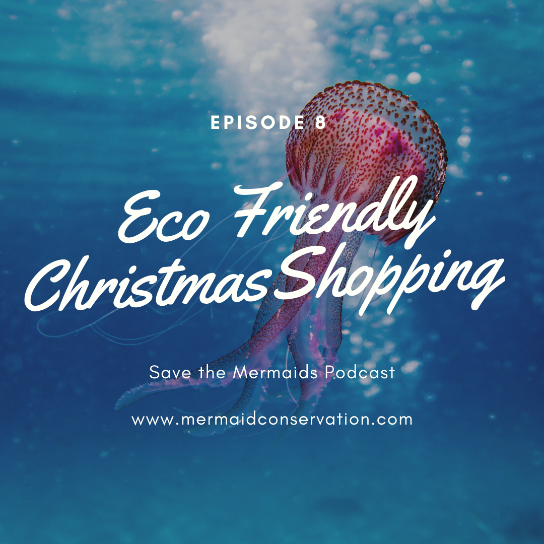 Episode 08: Eco Friendly Christmas Shopping 